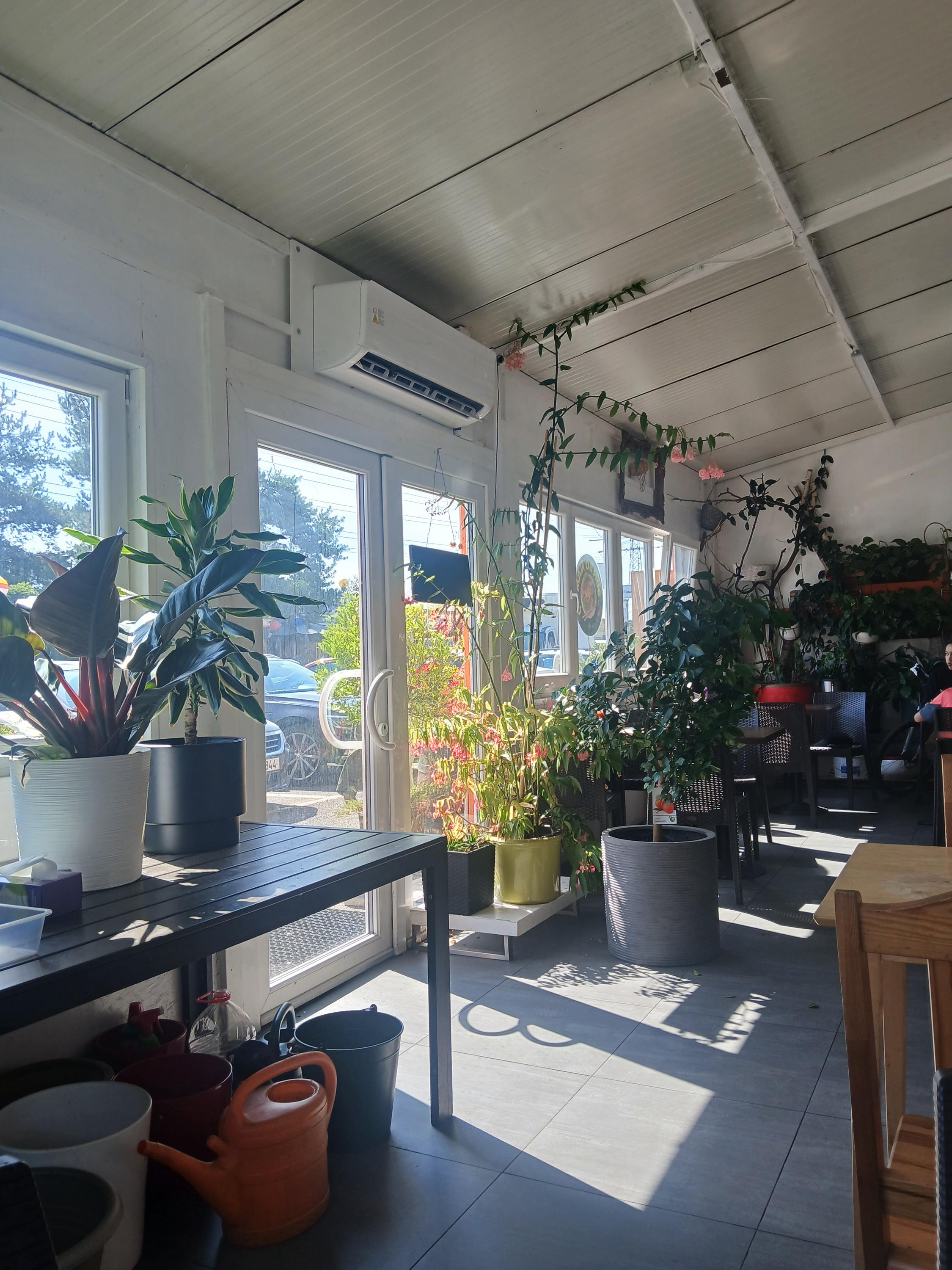 Hoàng Anh Quán foto 2