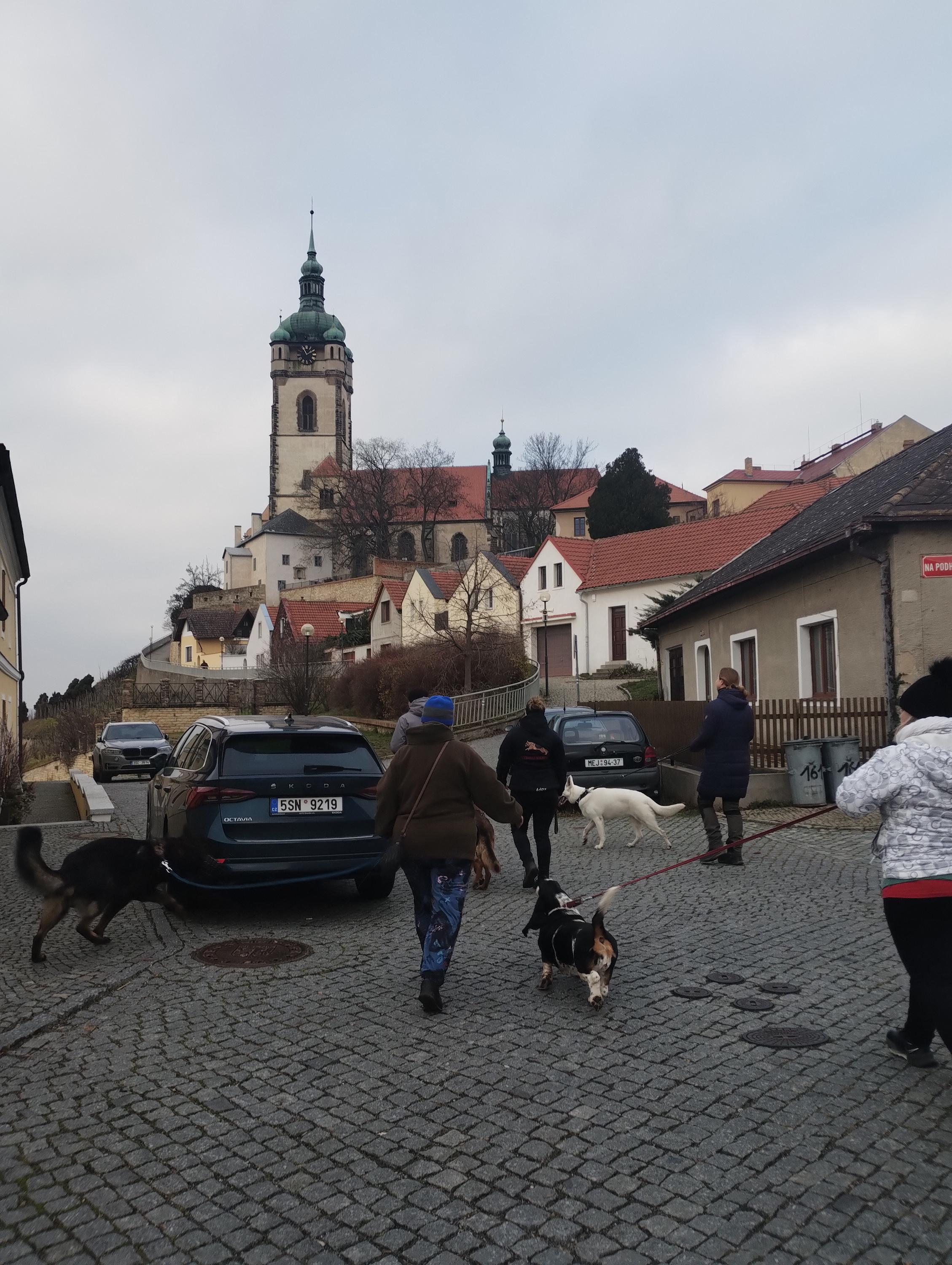 Český kynologický svaz ZKO Rousovice - 325 foto 4