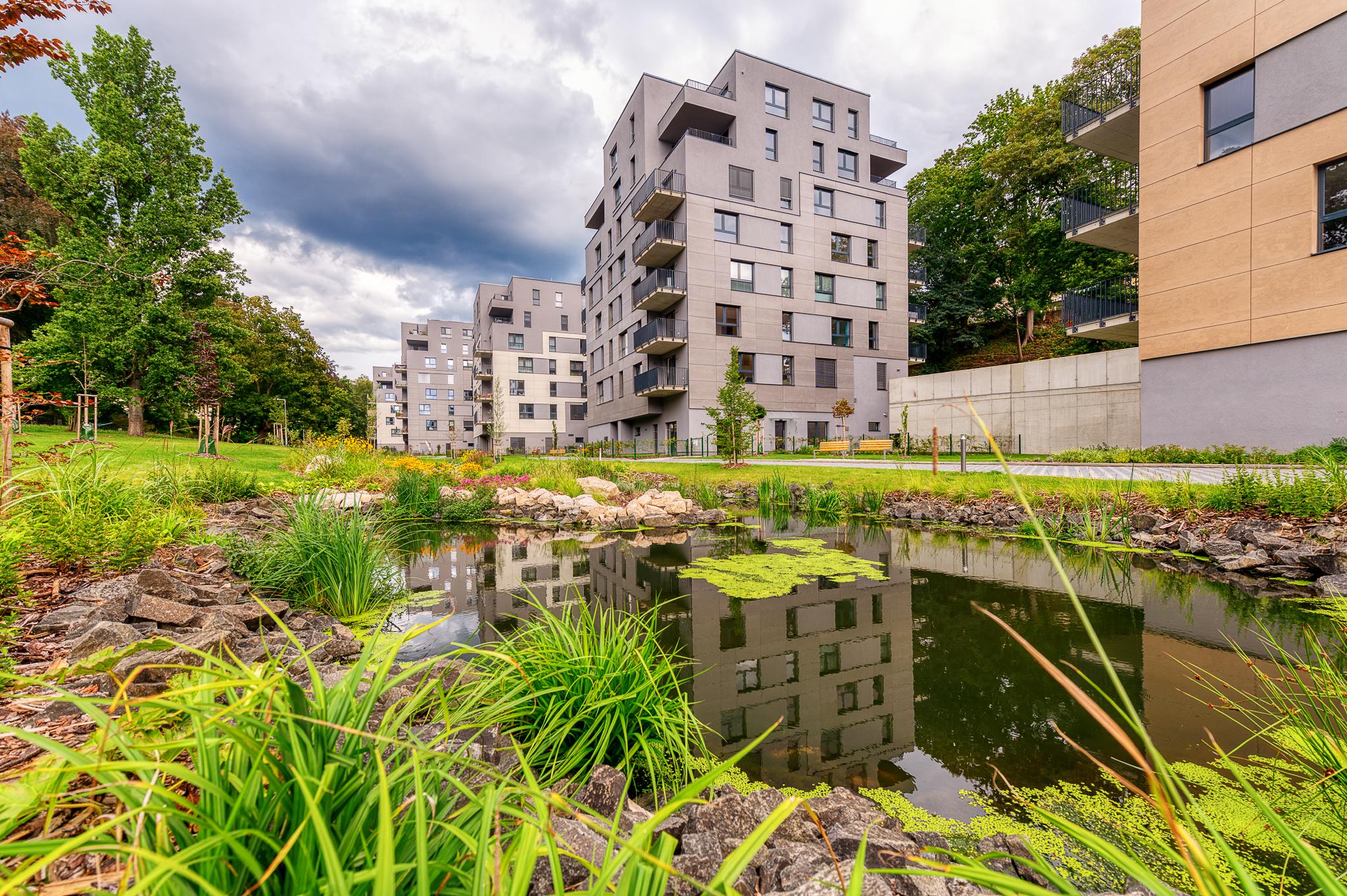 Yoga Masarykova foto 2