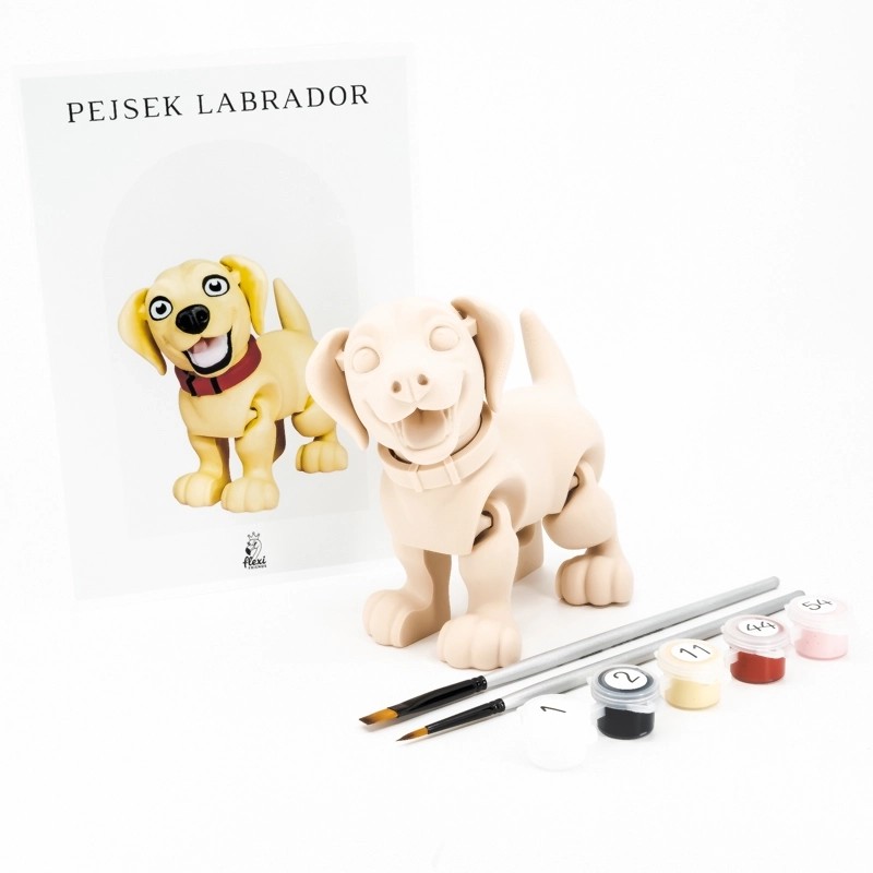 Flexi Friends foto 2