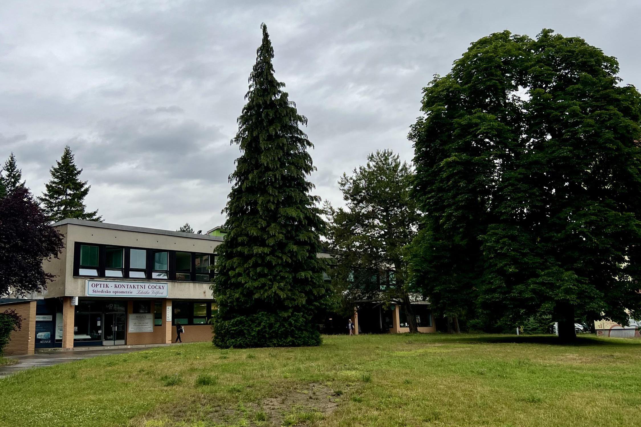 Zdeňka Volfová - oční optika foto 1