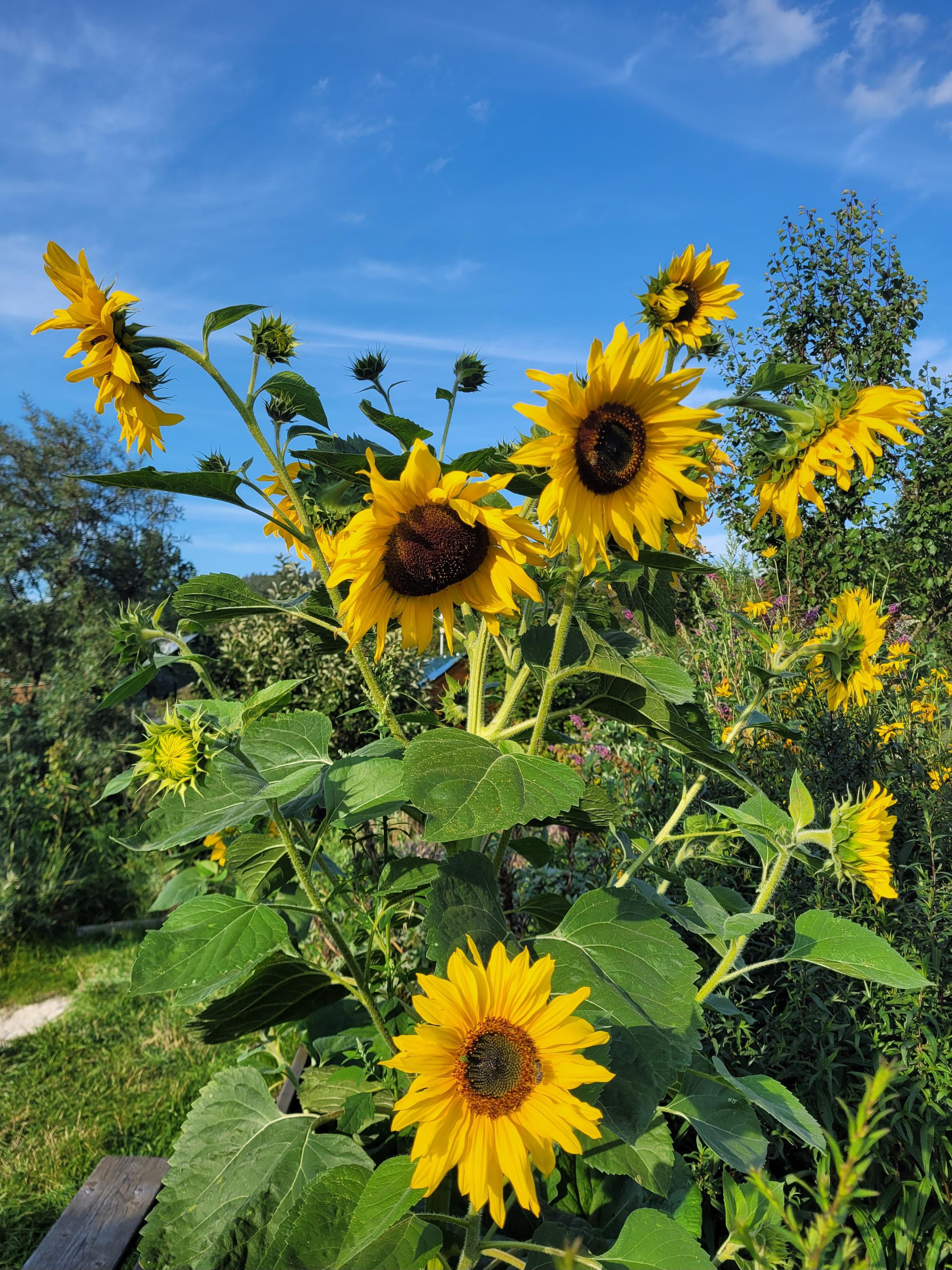 Pastvina: Jedlý park a Minizoo foto 2