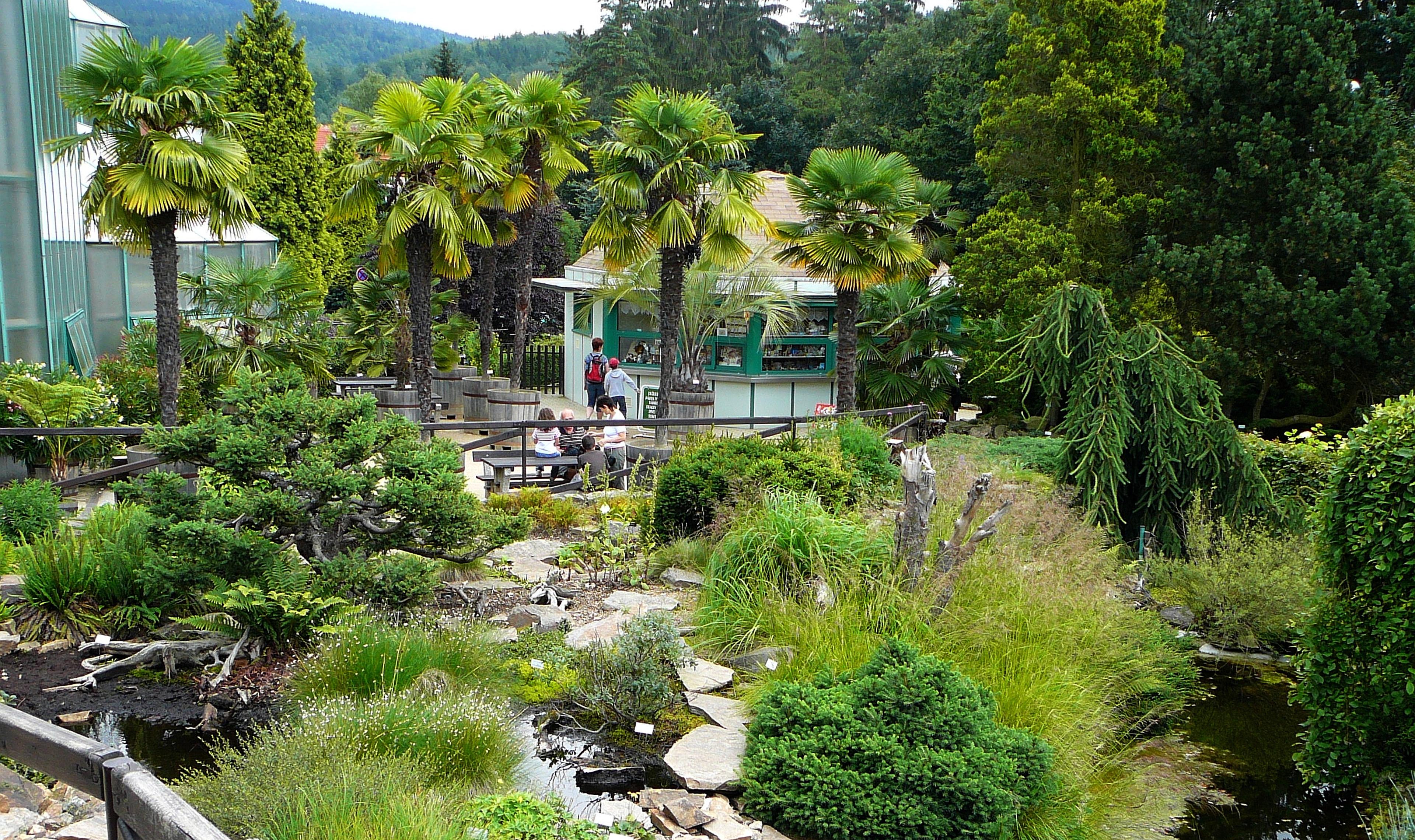 Občerstvení v botanické zahradě