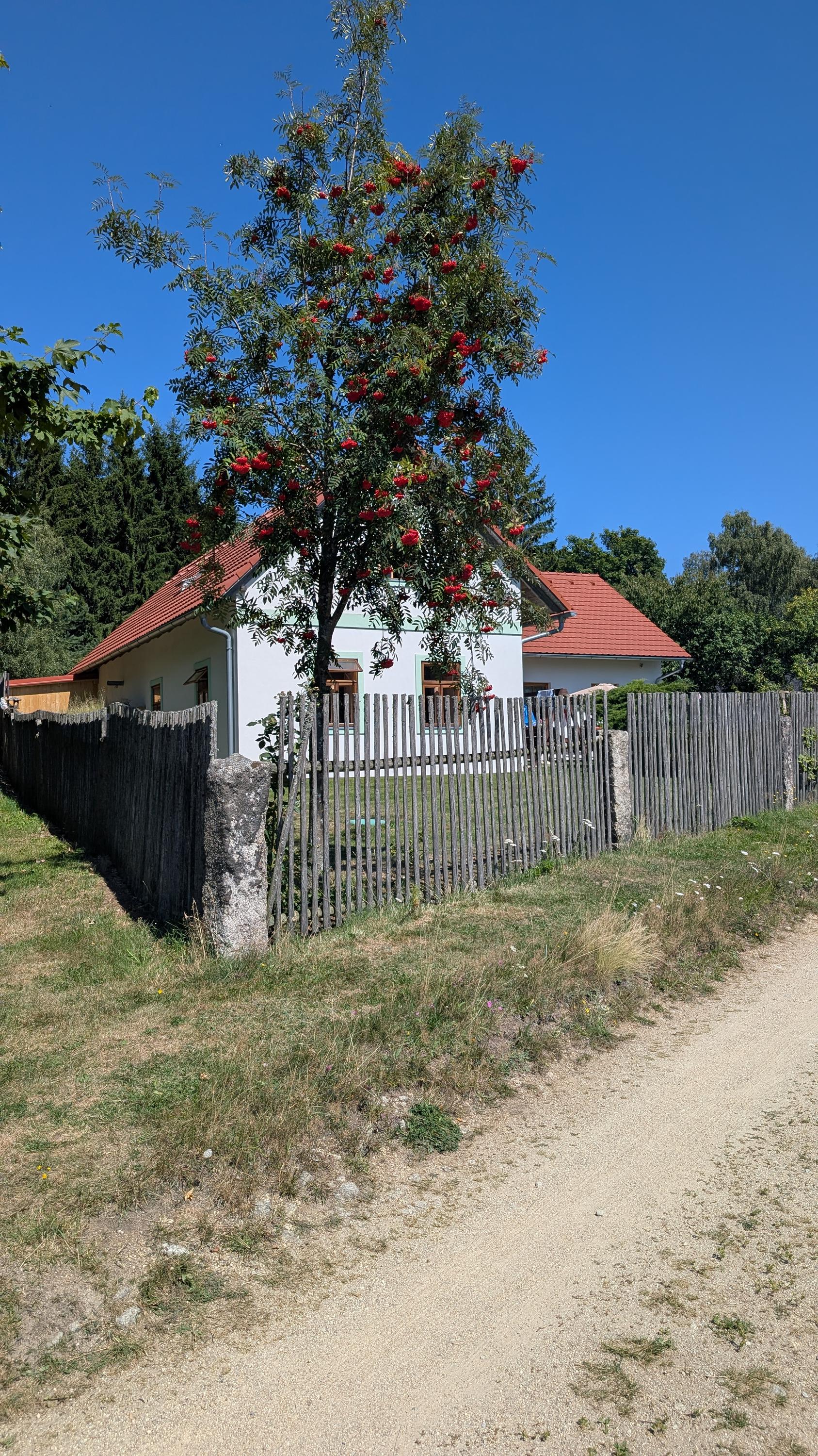 Šmikmátor foto 5
