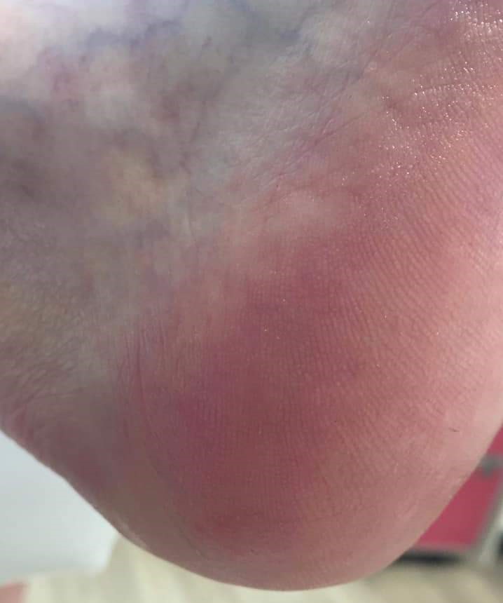 PediPet Salon foto 4