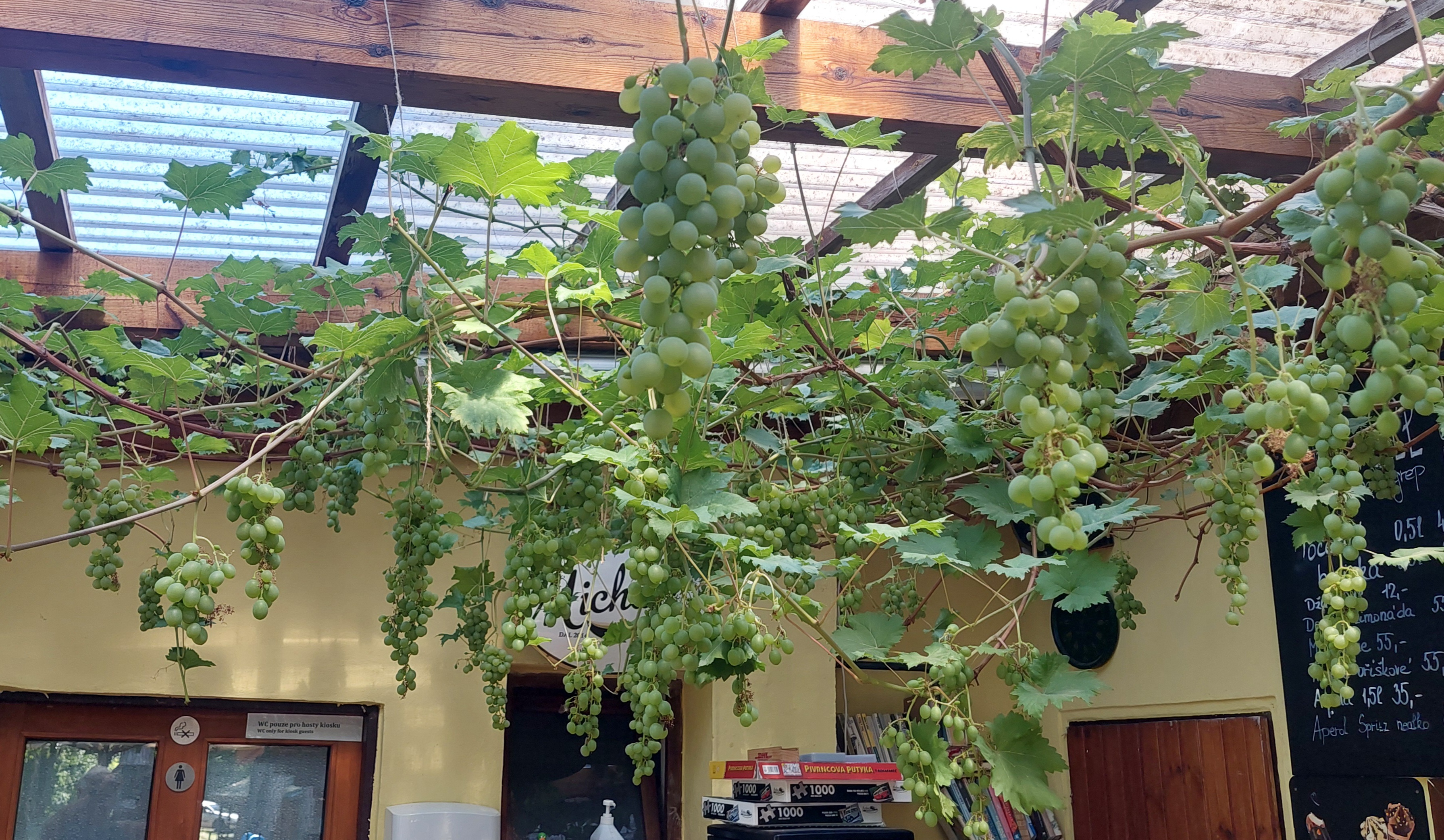 Grandkiosek Pup-an foto 4