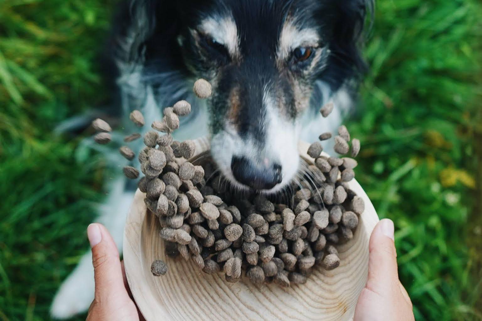 Kořist - granule, kterým rozumíte