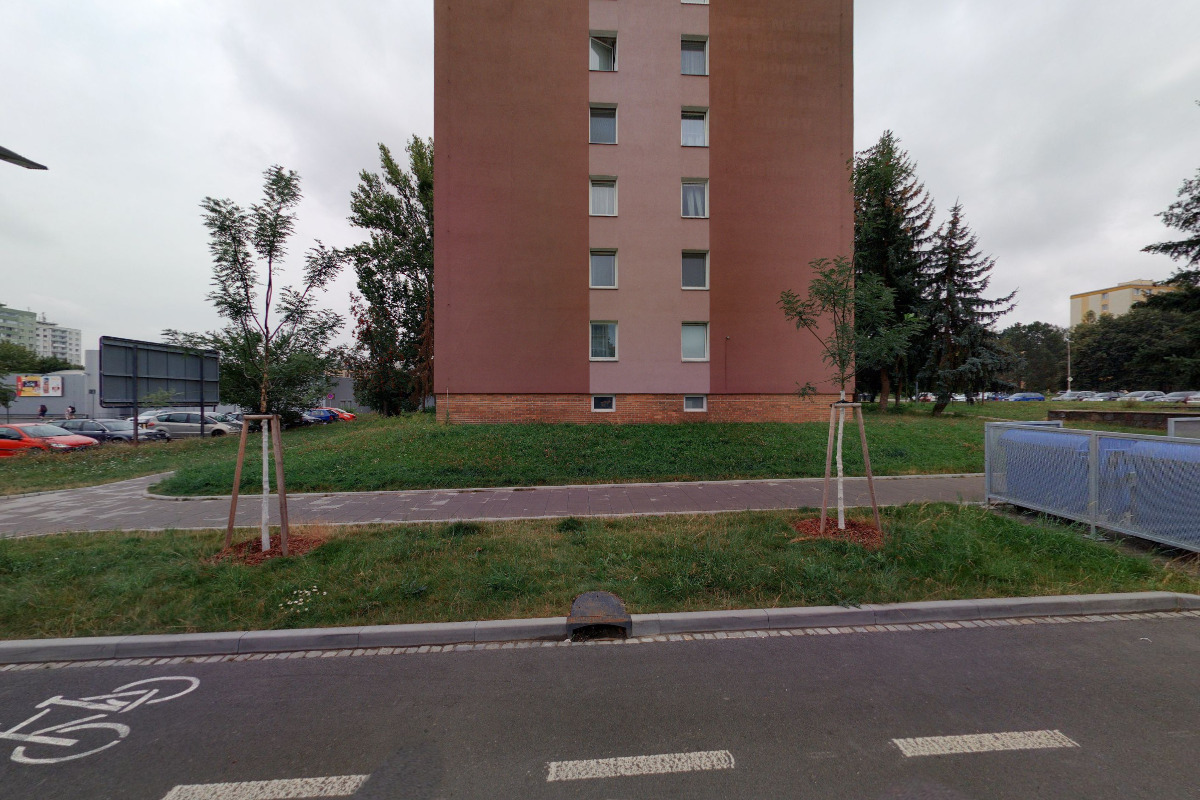 Web-Liska.cz foto 5