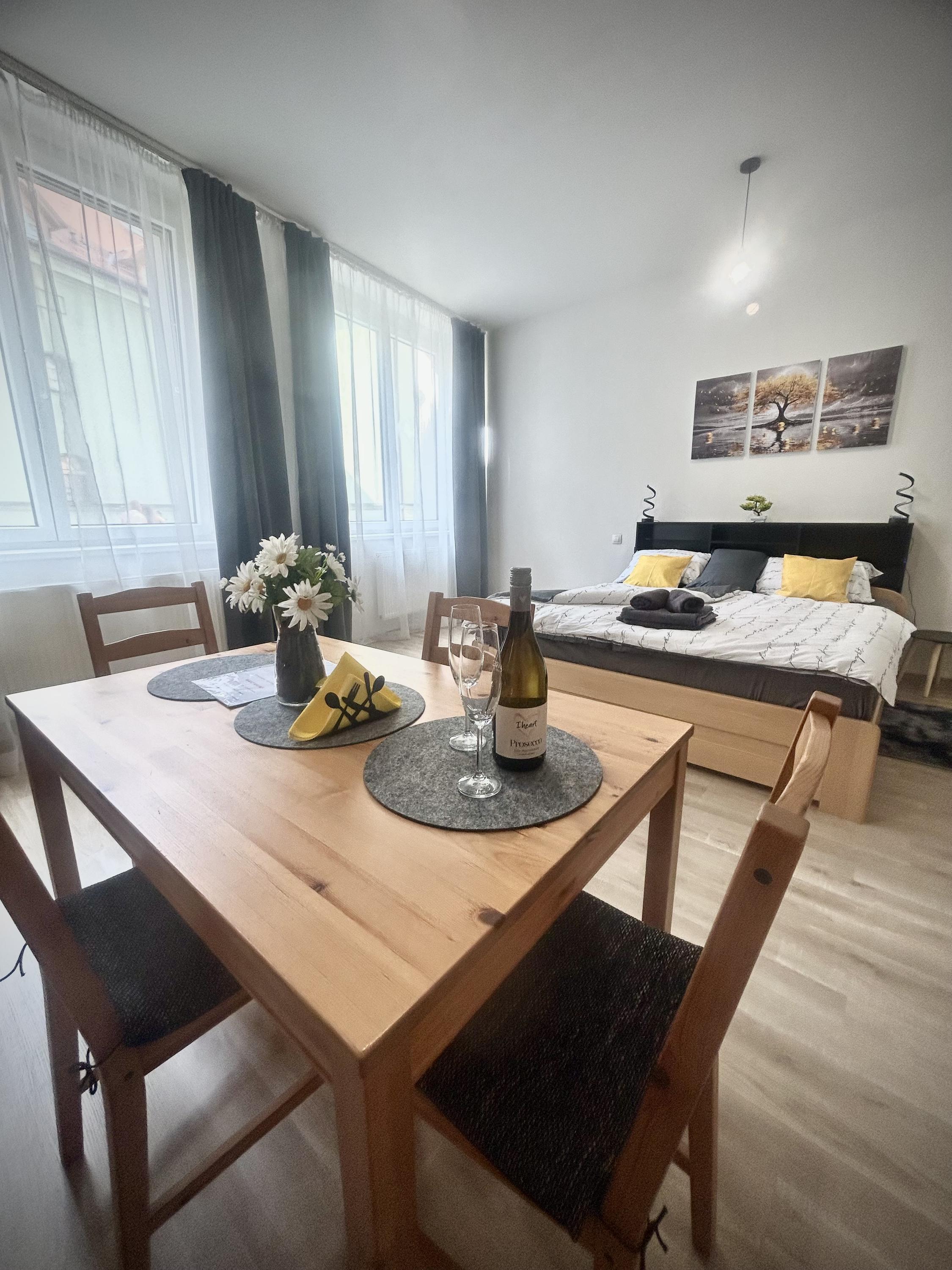 Ubytování v srdci Písku foto 5