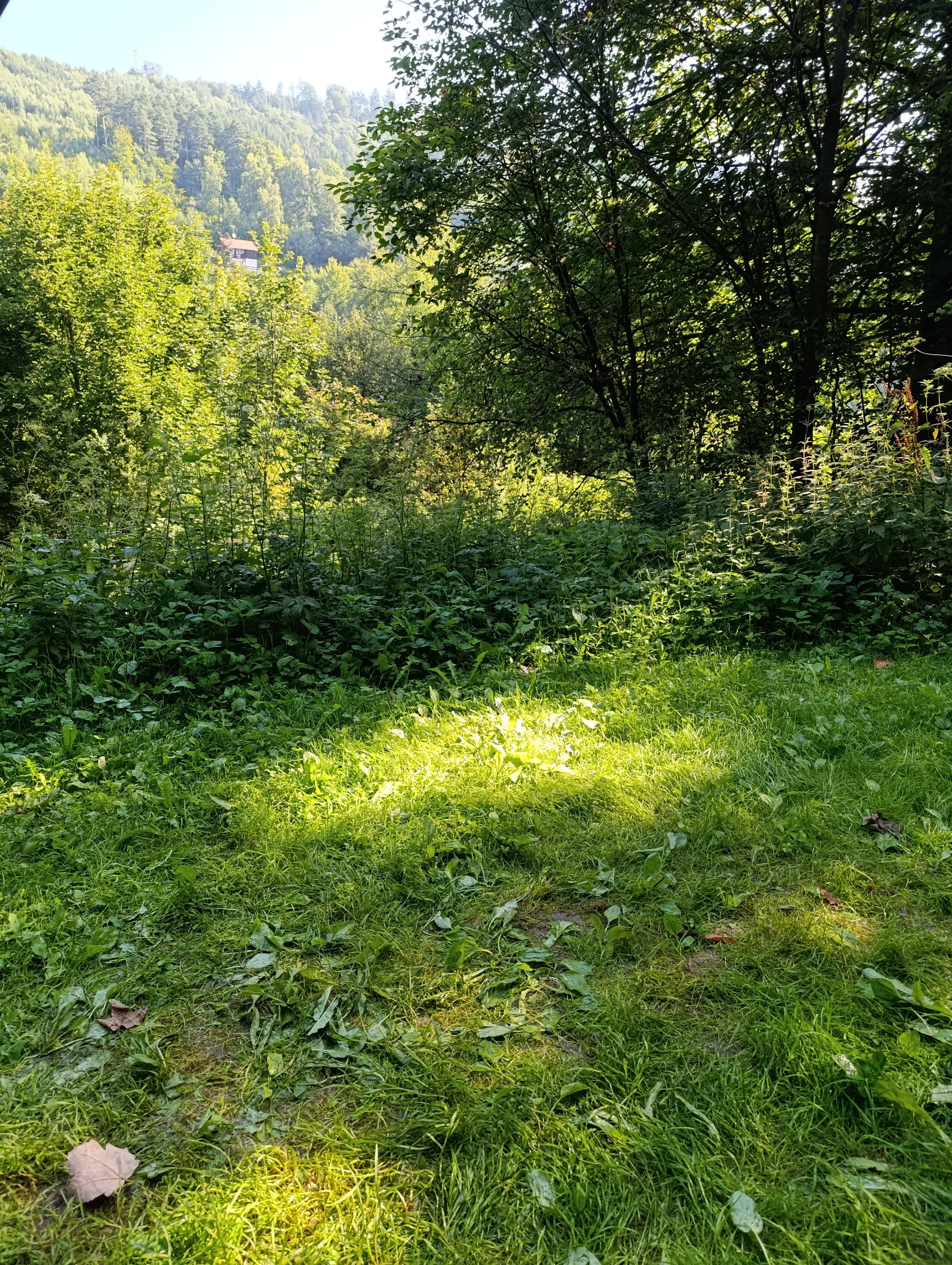 Tábořiště Dolinky foto 5