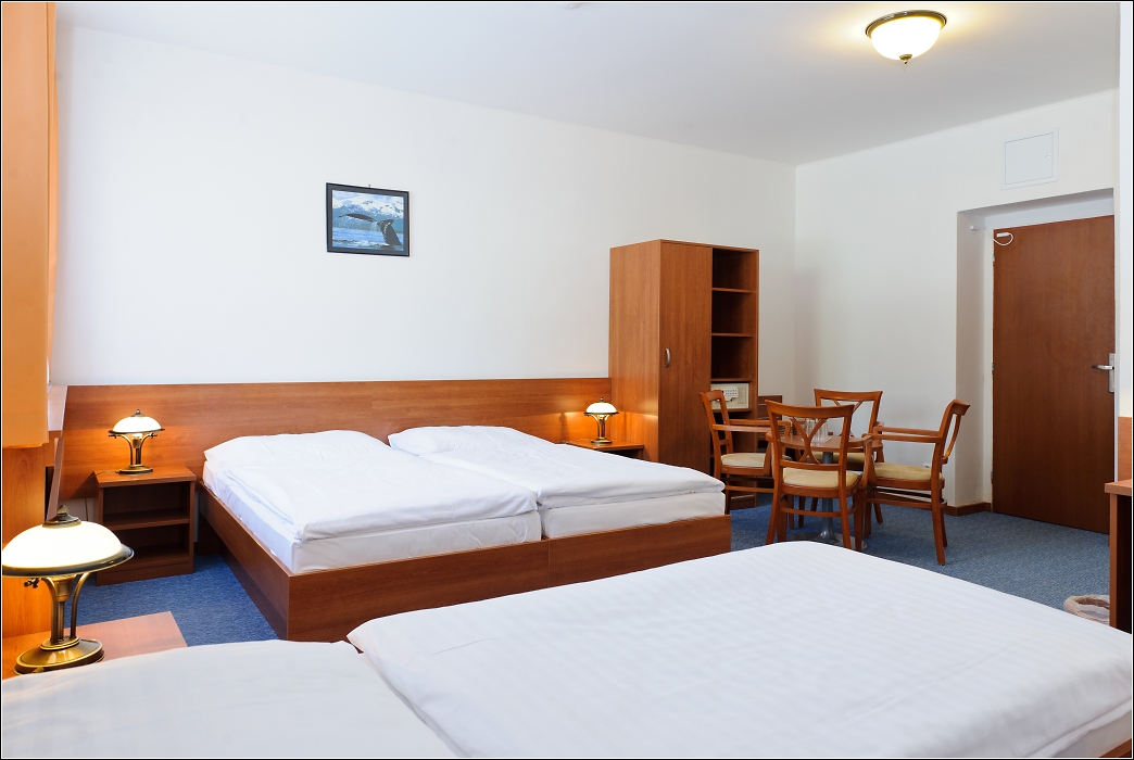 Hotel Alexis foto 2