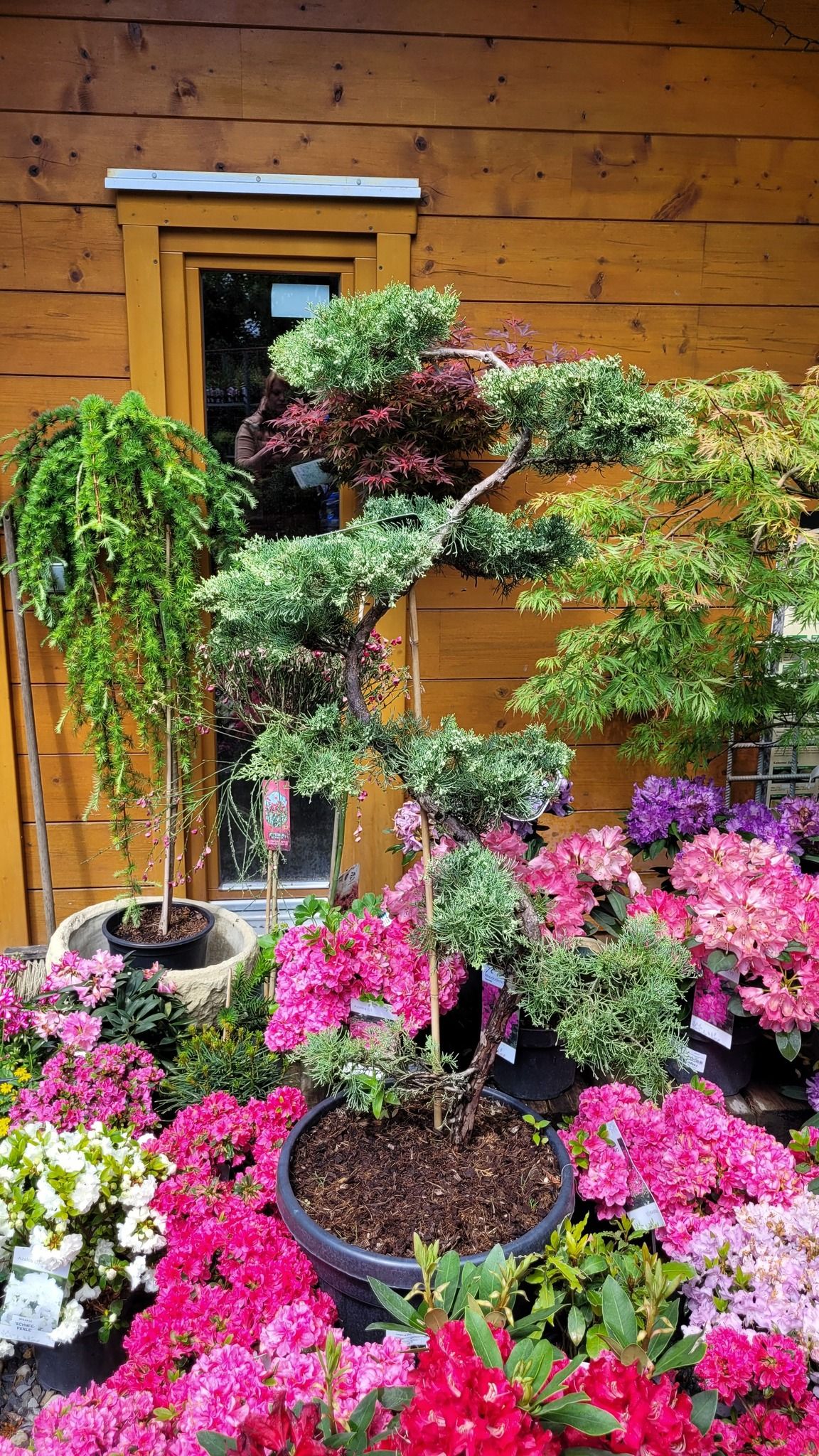 Arboretum foto 2