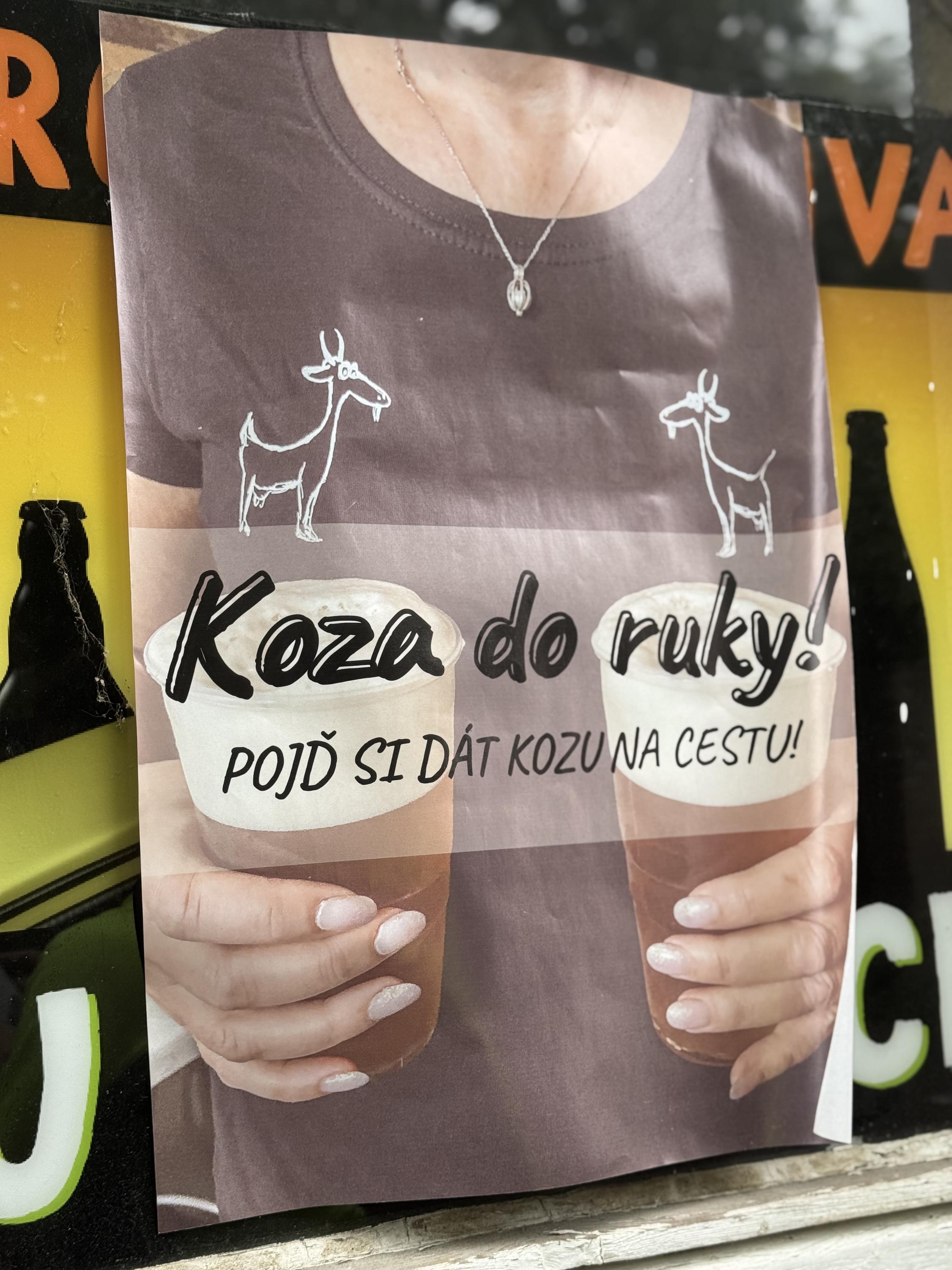 Zbraslavská koza foto 6