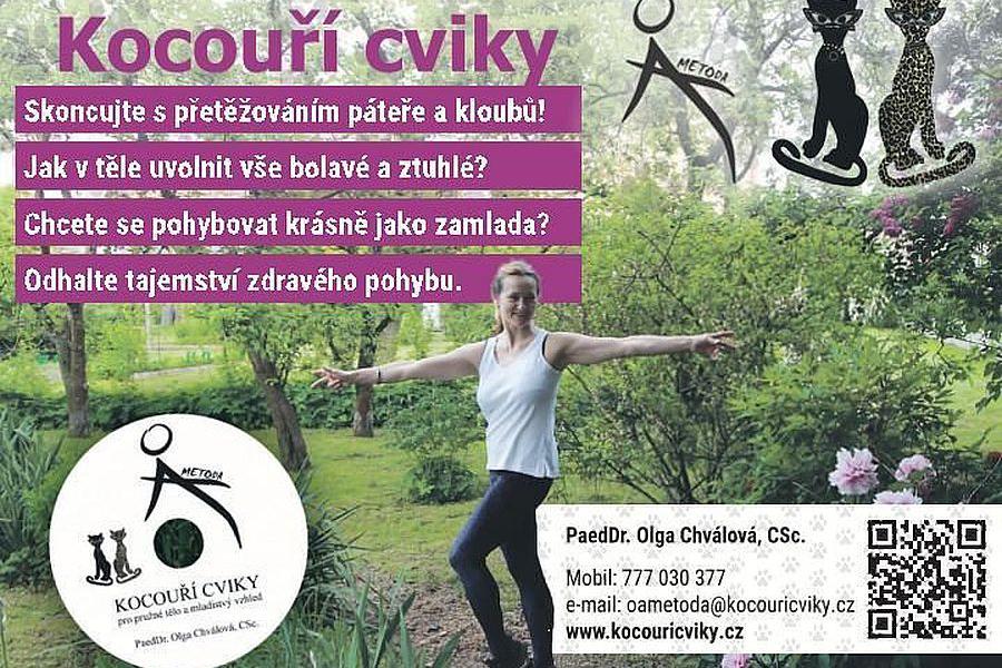Online kurz Základ zdravého pohybu vstoji i vsedě