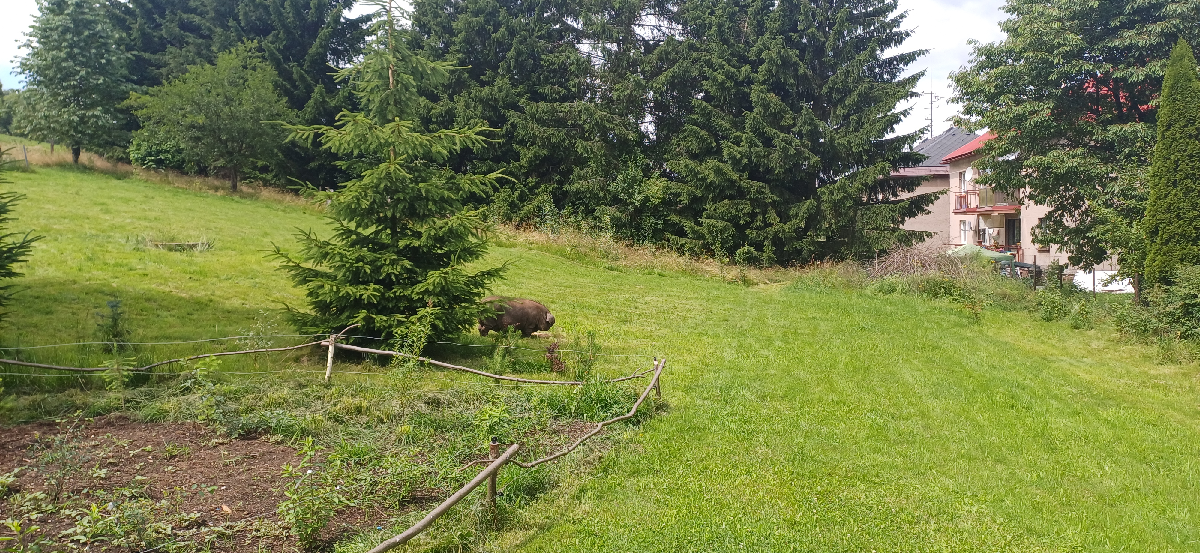 Trempská Chalupa Aronie foto 6