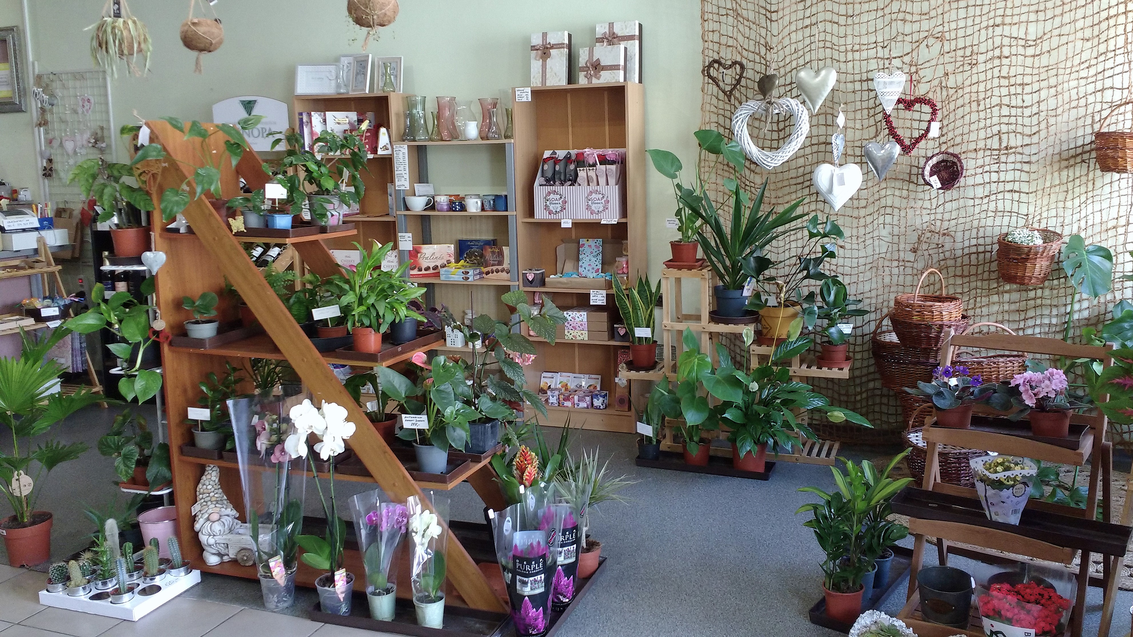 Inspirace v podzámčí foto 2