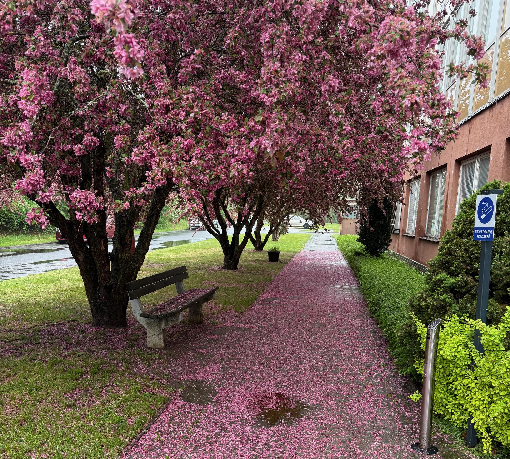 KTH CHEM s.r.o. foto 2