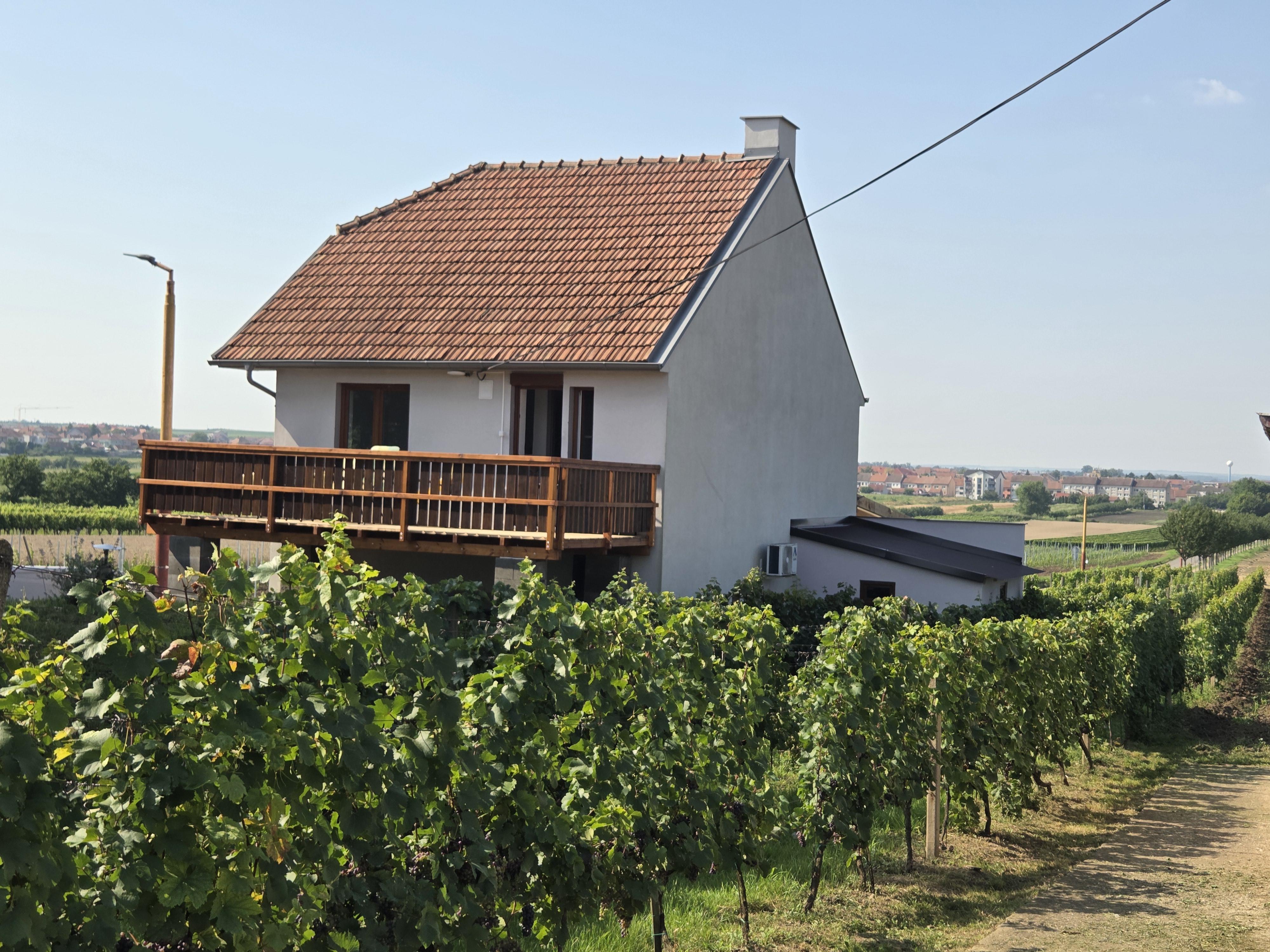 Vinařství U Křížku foto 6