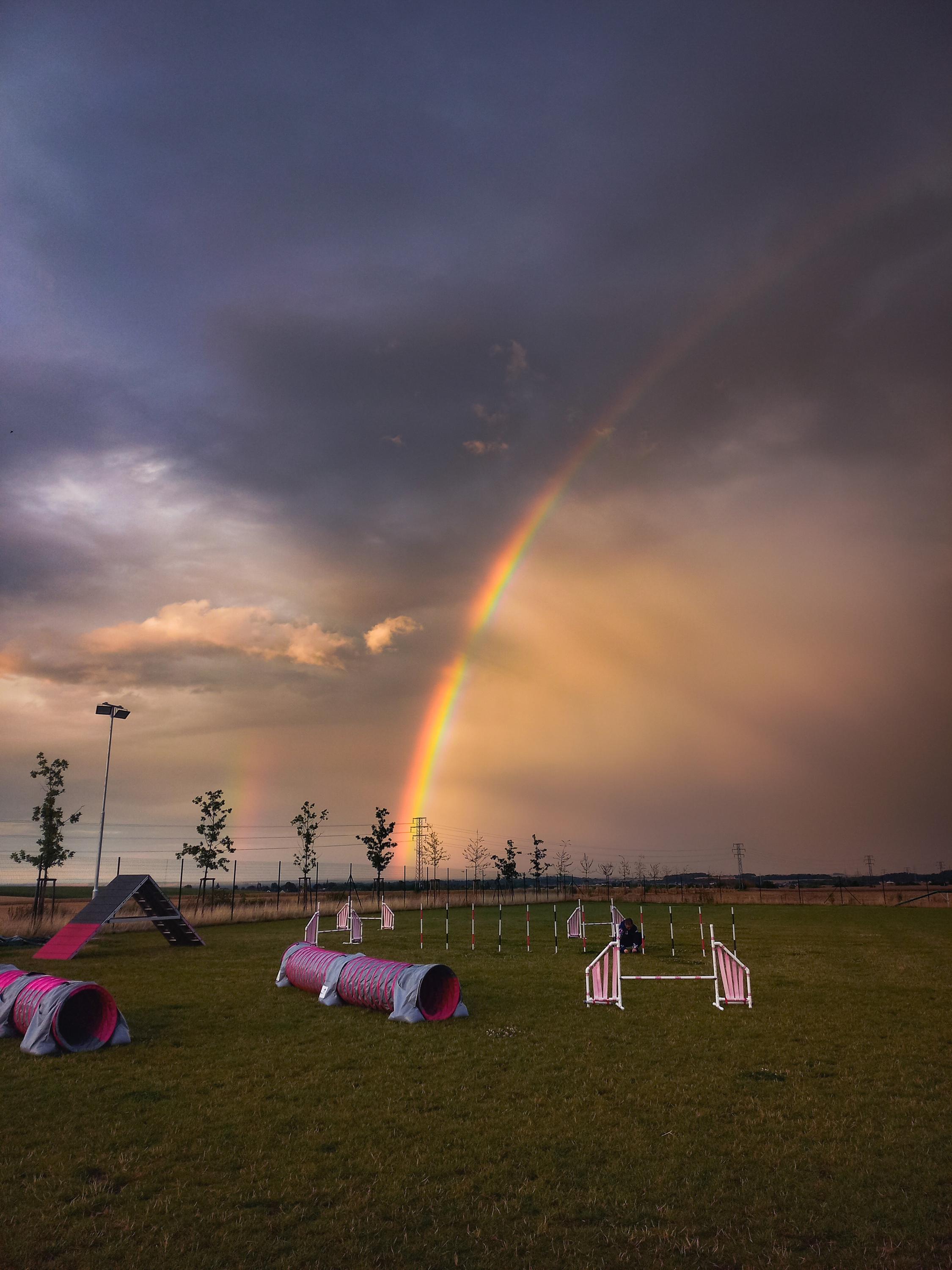 KLUB PSÍCH SPORTŮ BŘEZINĚVES foto 1