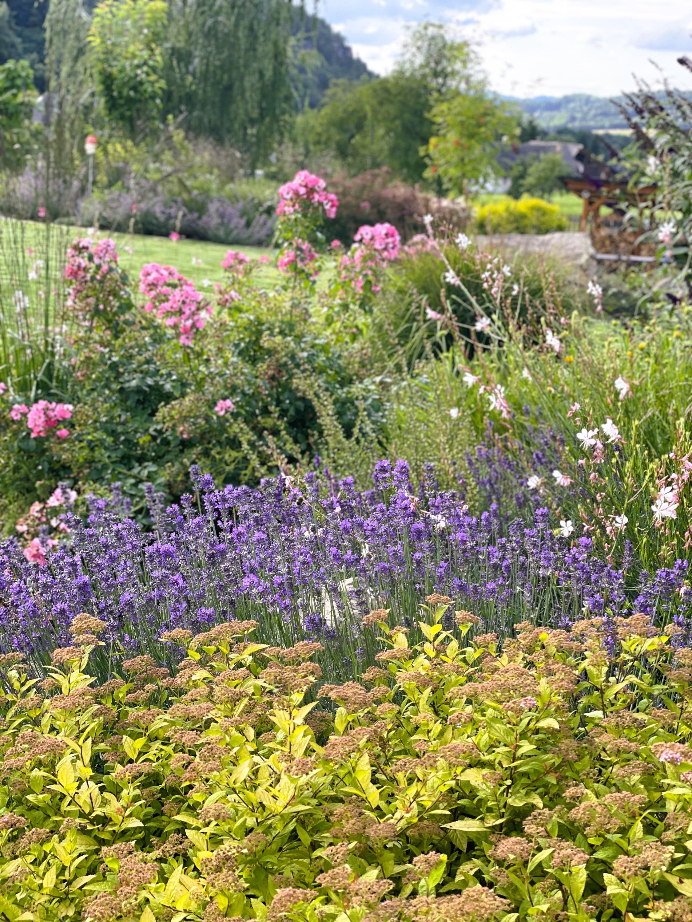 Bydlíme na zahradě, s.r.o. foto 3