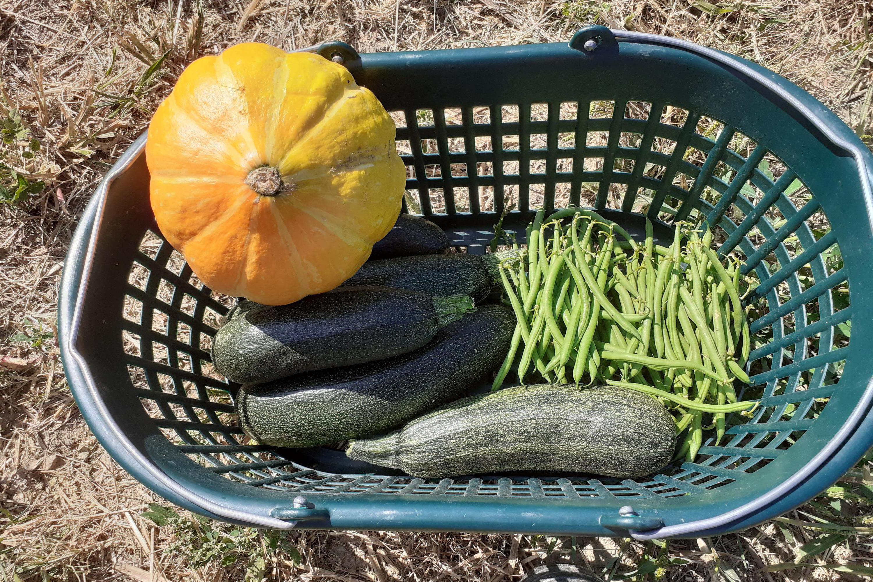 Rodinná farma Mahouš