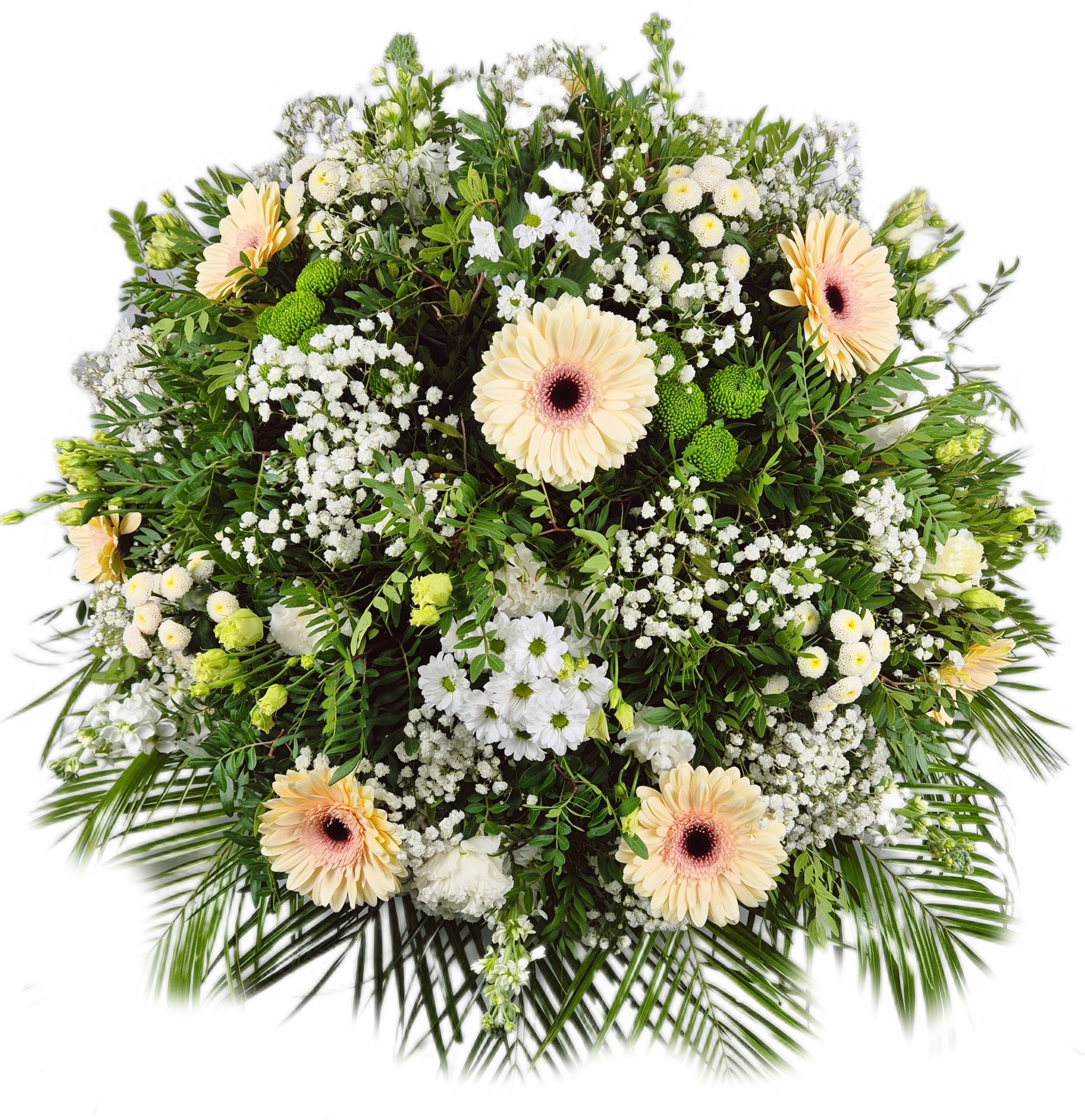 RV Pohřební služba Vevera s.r.o. foto 6