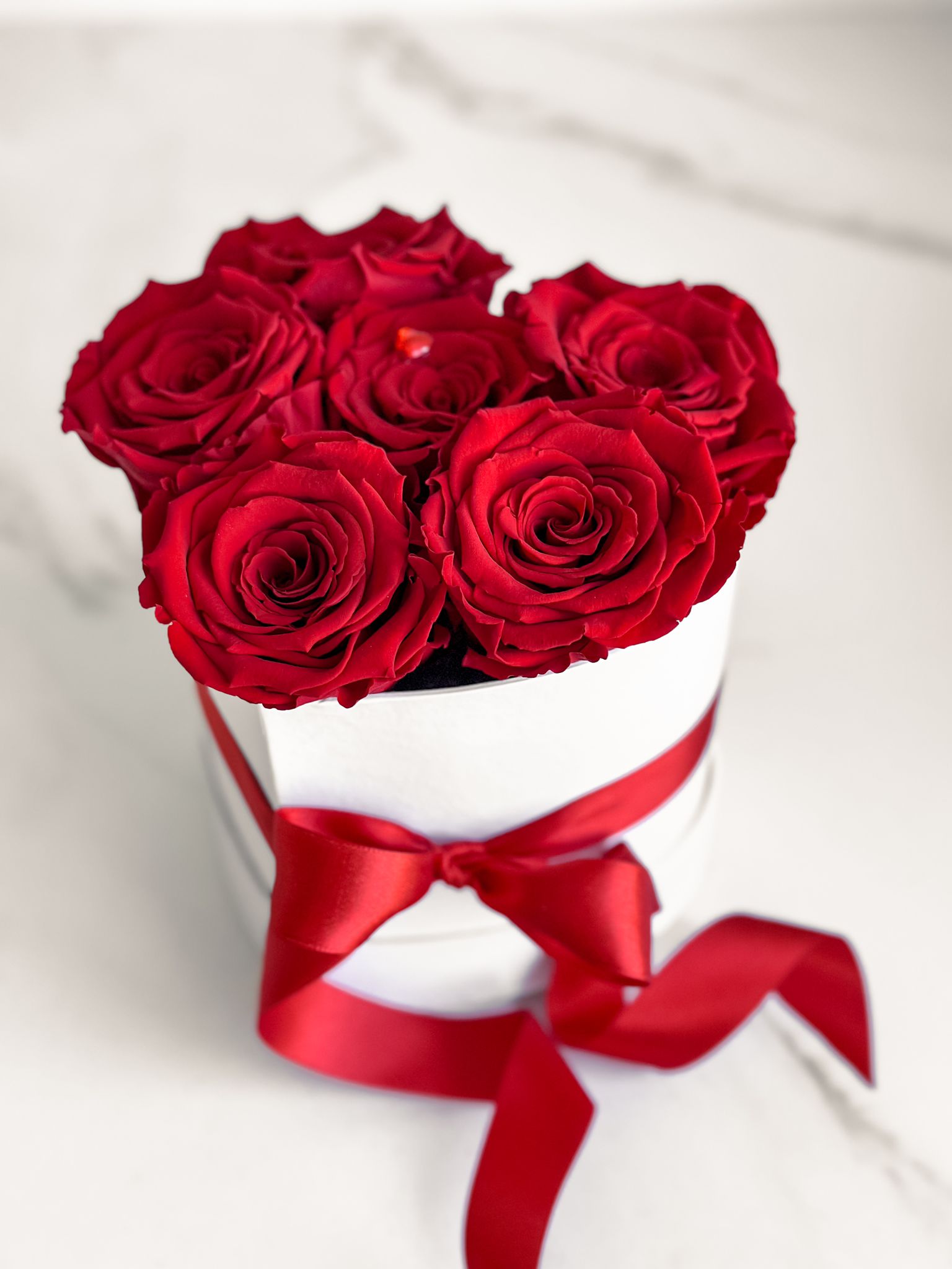 Rosalie květiny foto 4