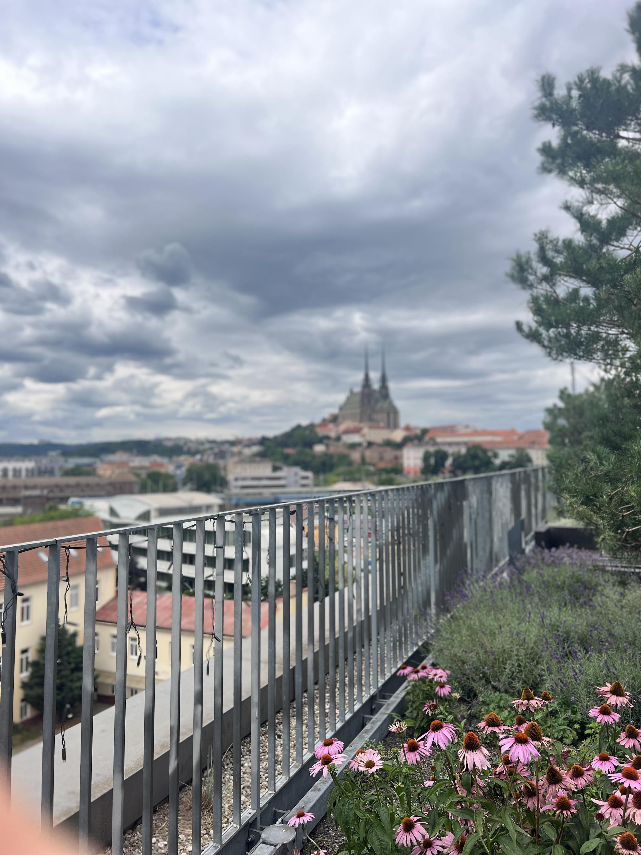 Ing. Tomáš Rychetský, EFP | Finanční poradce foto 3