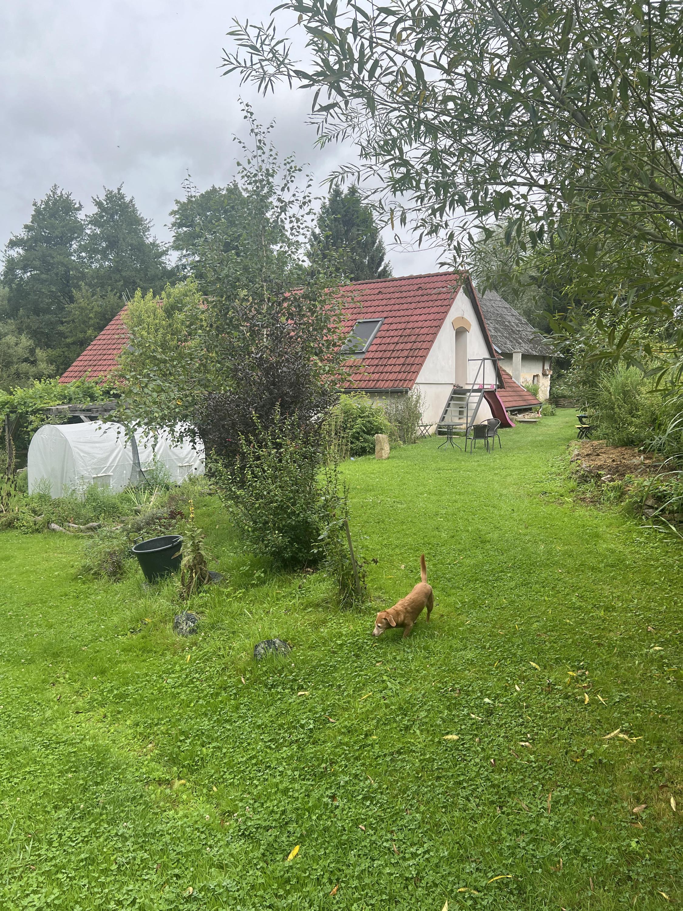 Farma Dolejší mlýn foto 3