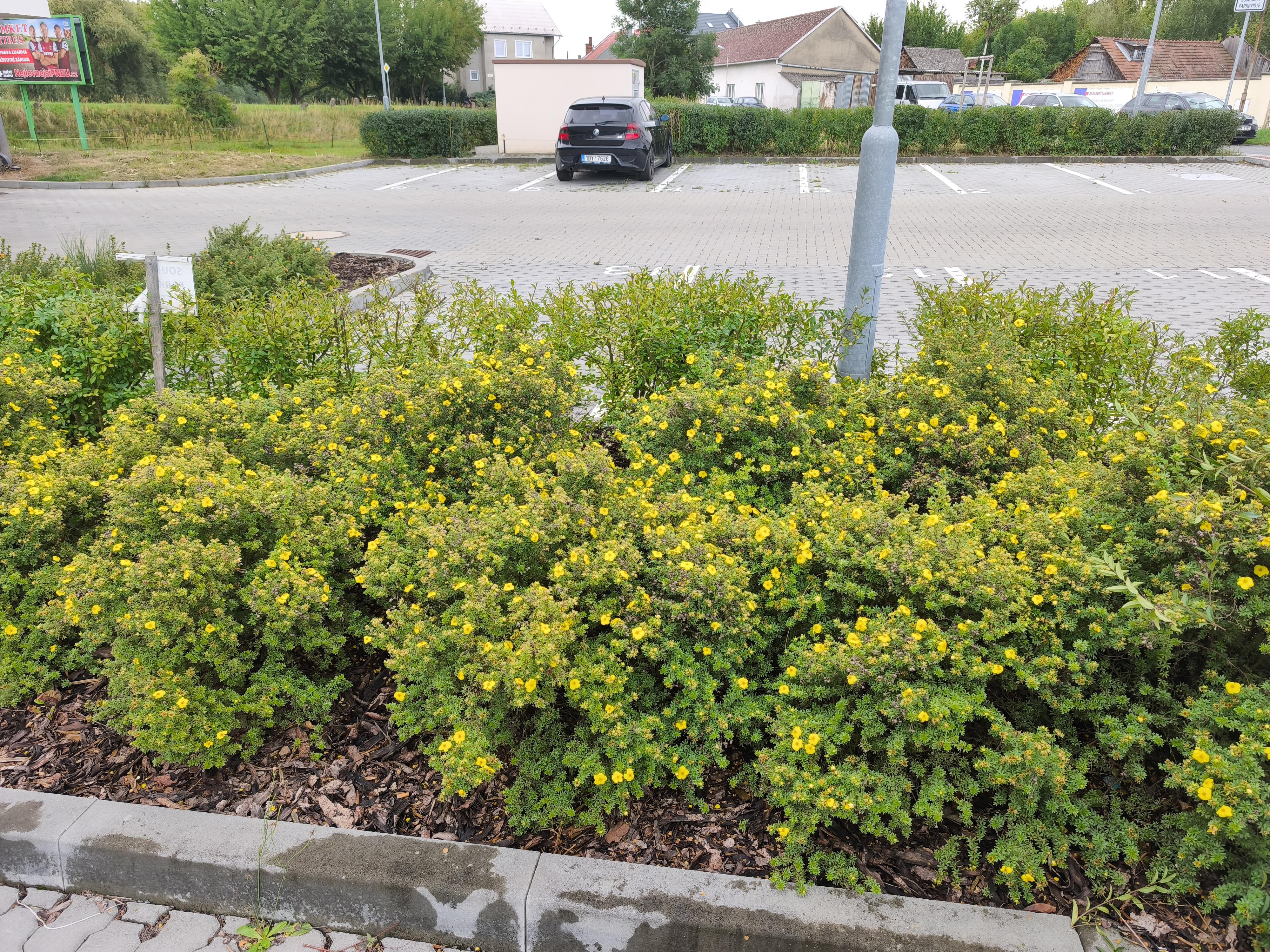 TrávníkářJM foto 6