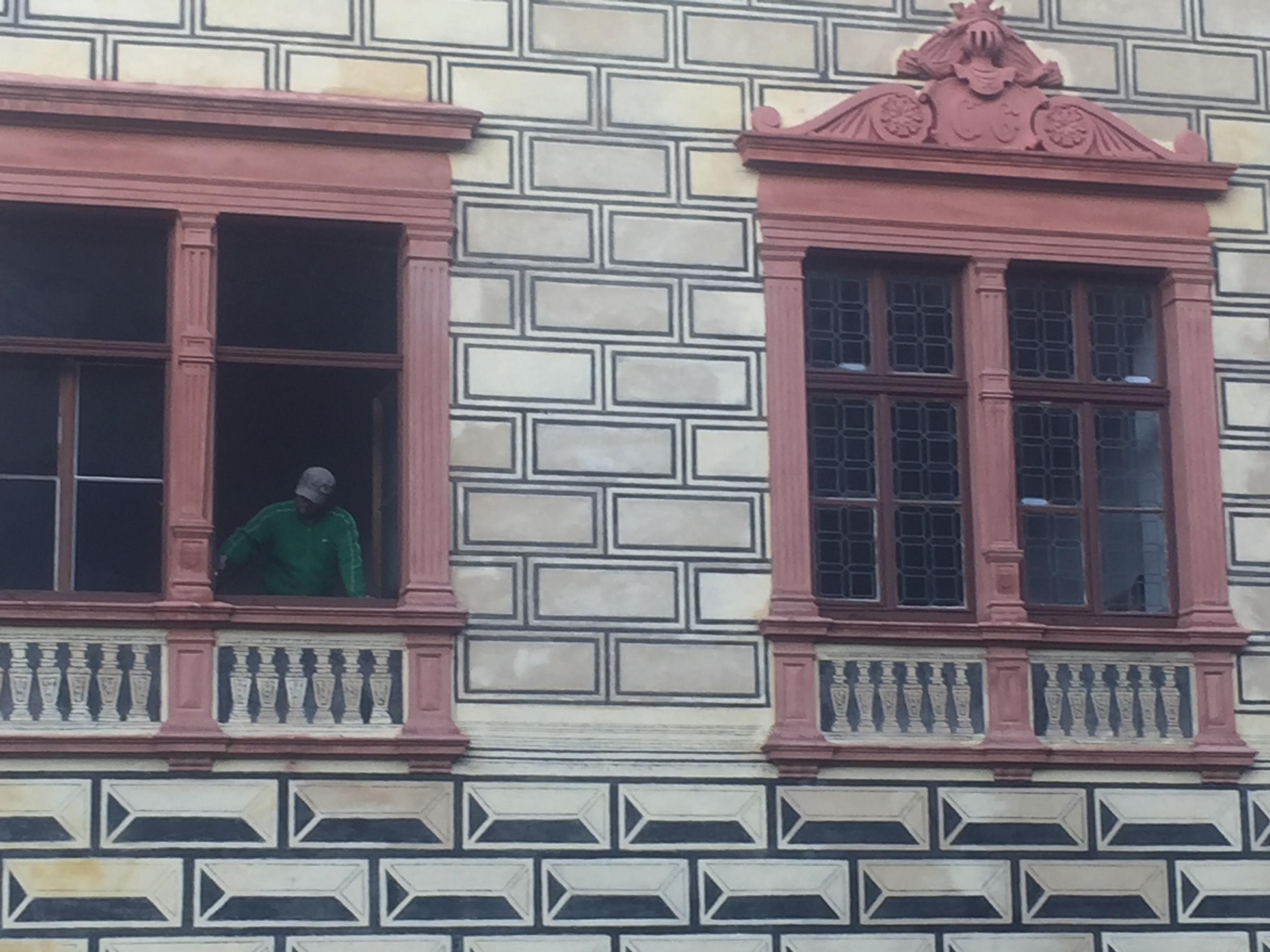 Pila-Kadeřávek foto 3