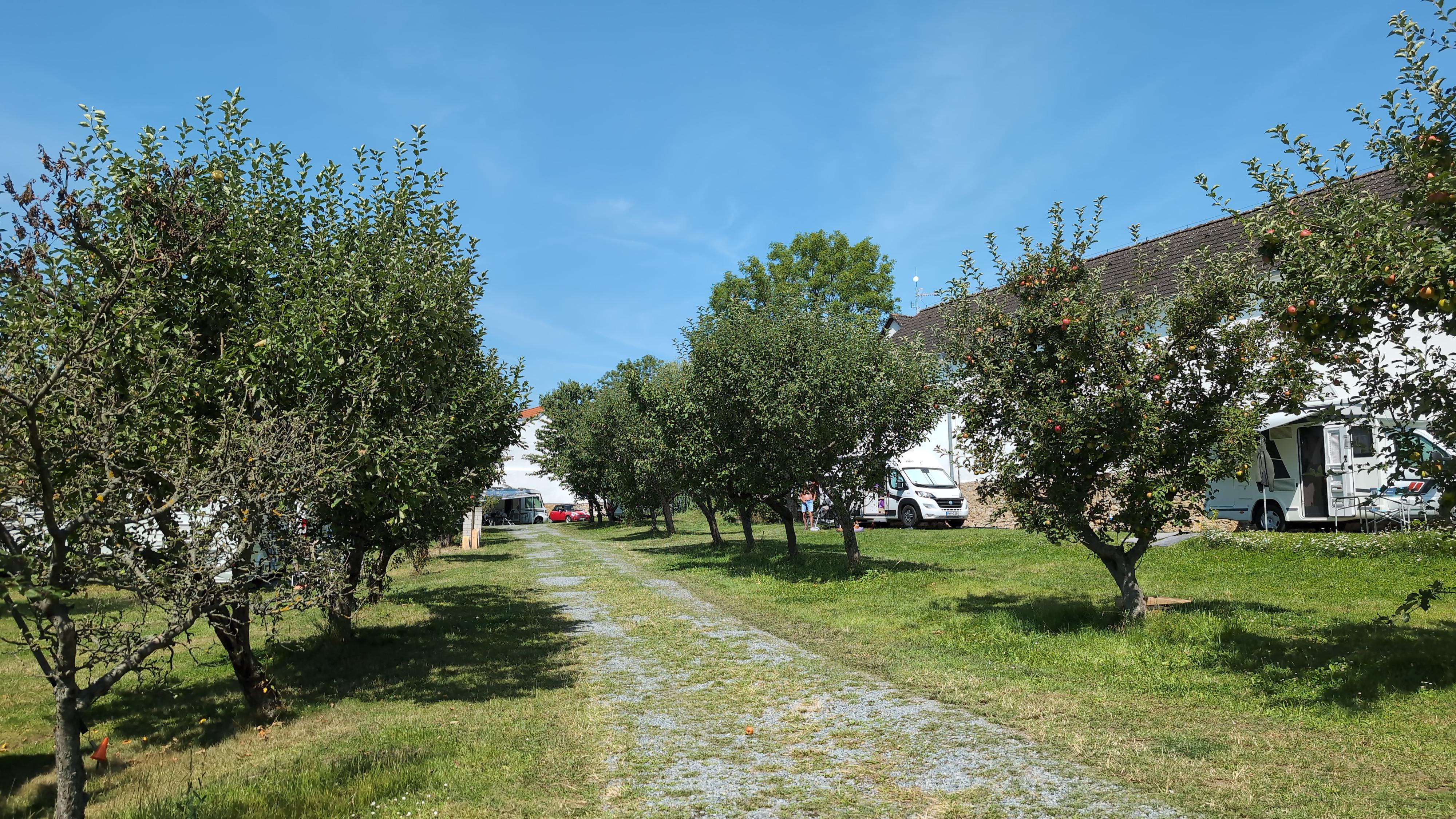 Camp Slivenec foto 3