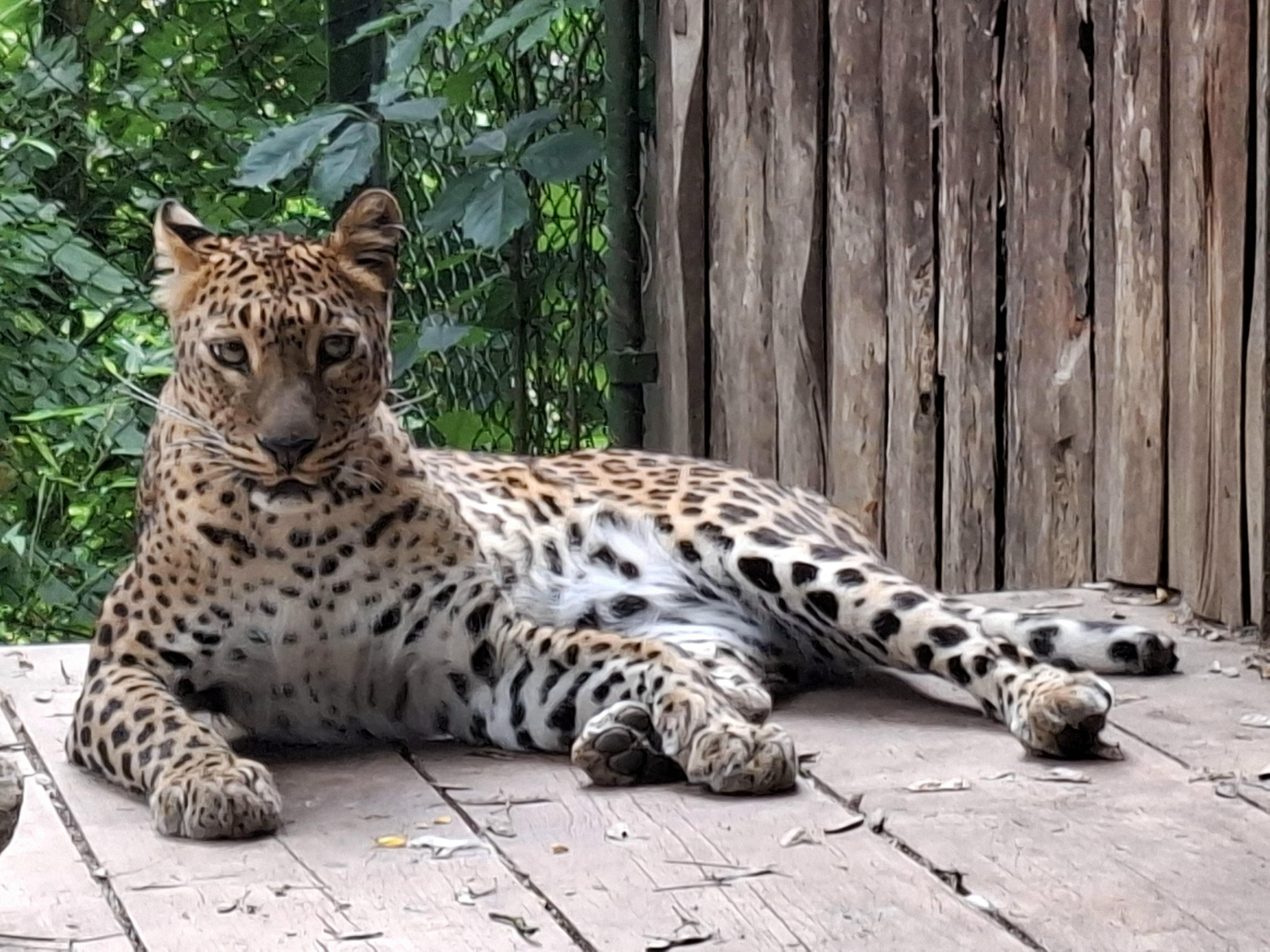 Zoo Brno a stanice zájmových činností foto 4