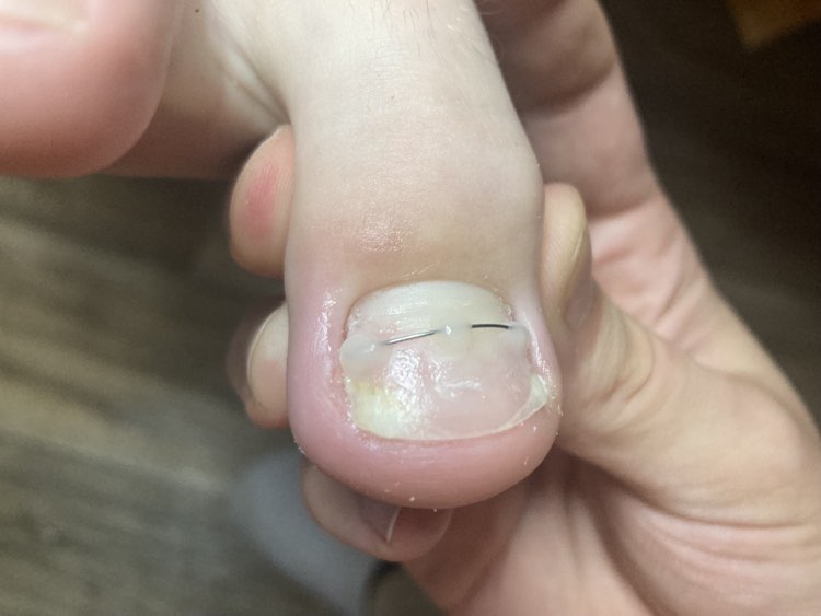 PediPet Salon foto 2