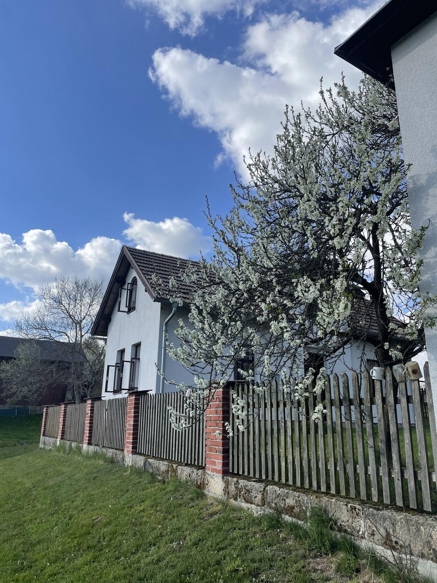 Ubytování Svatoňovice foto 3