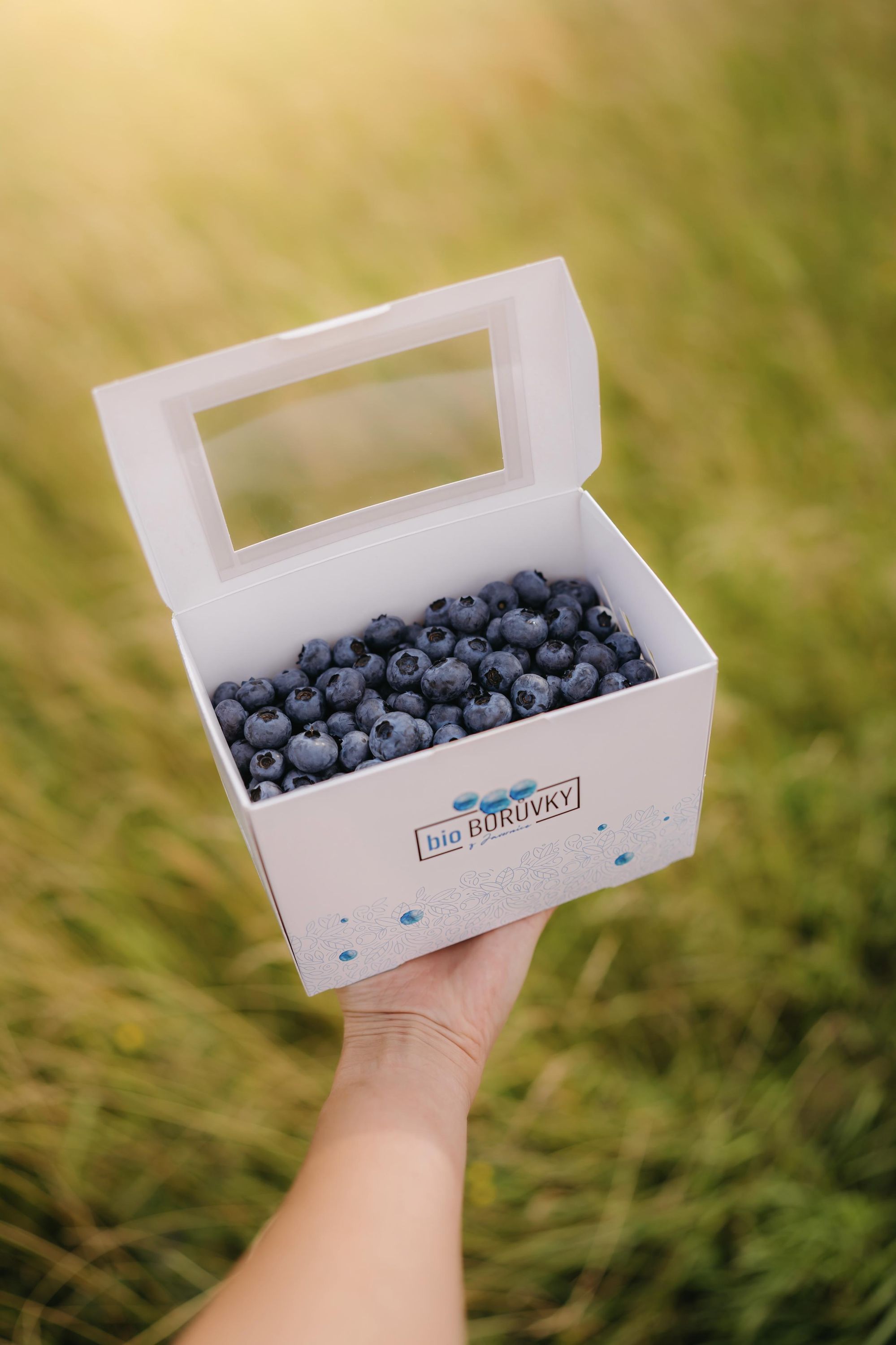 Bio Borůvky z Javornice foto 2