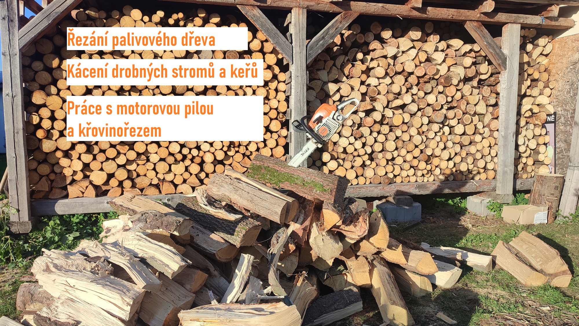 Hodinový manžel - David foto 2