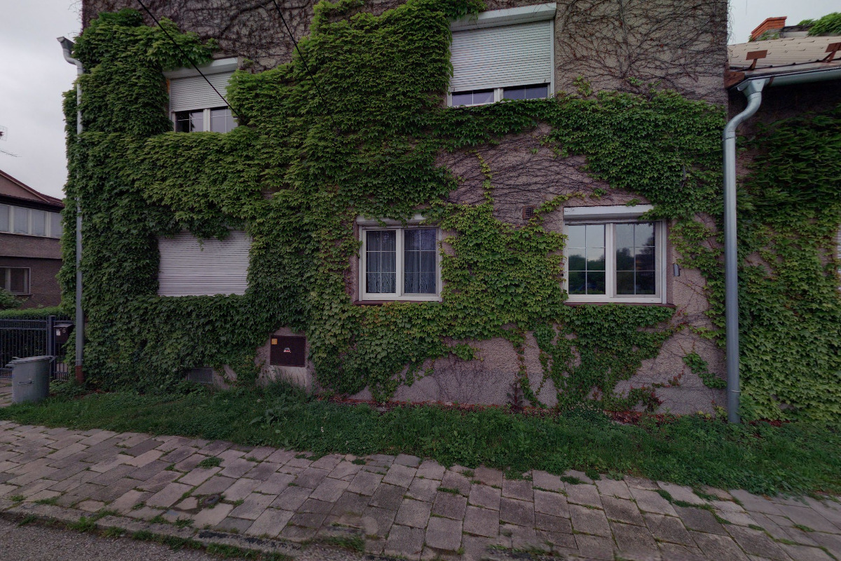 Čerňák ostravský oplatek