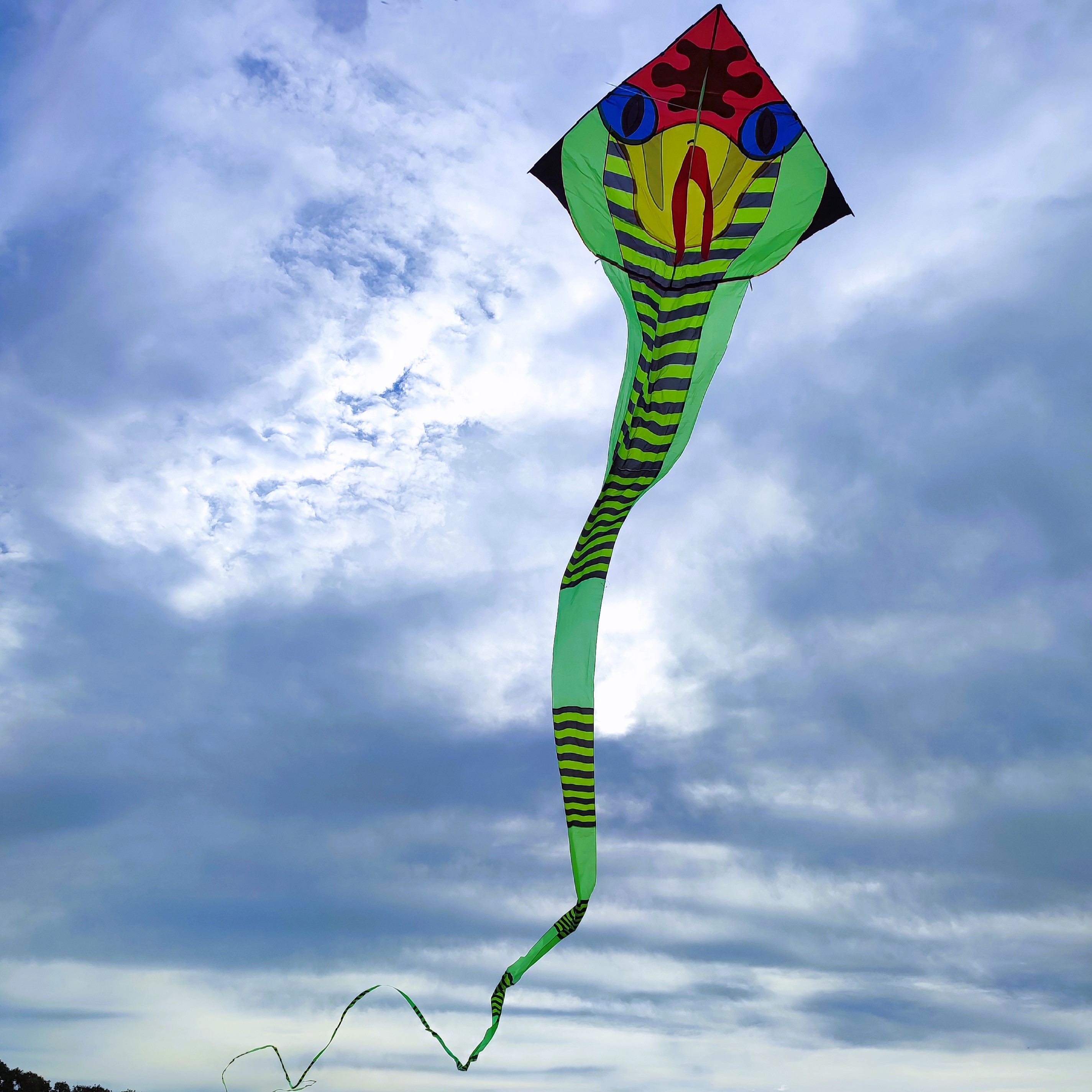 Létající draci T.O.M foto 3