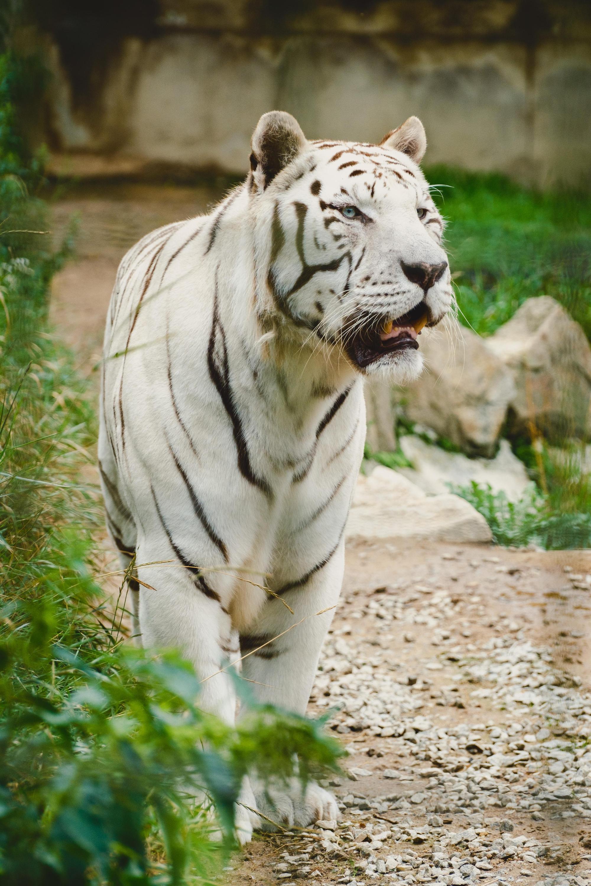 Zoologická zahrada Dvorec foto 3