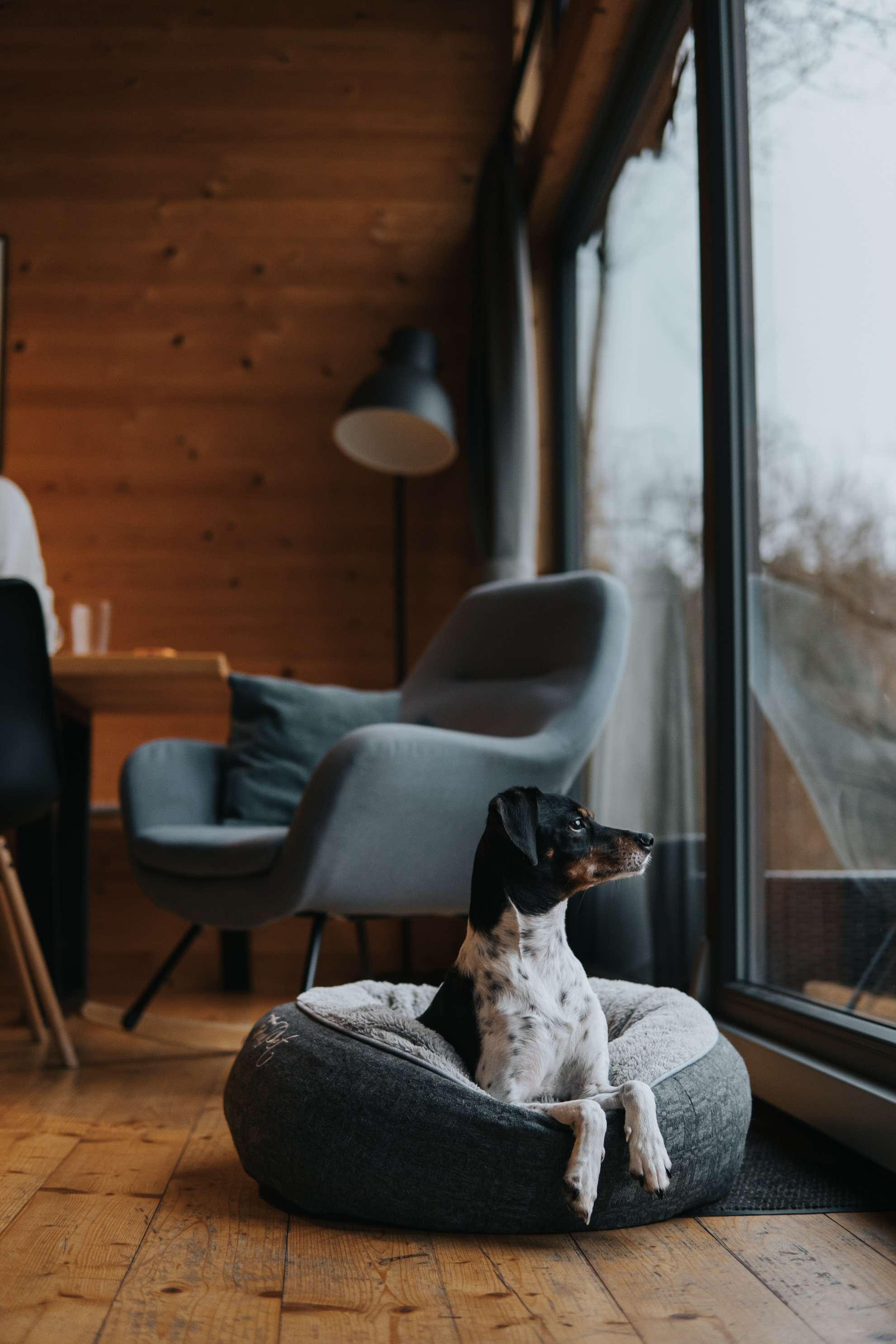 Toksol Homes foto 4