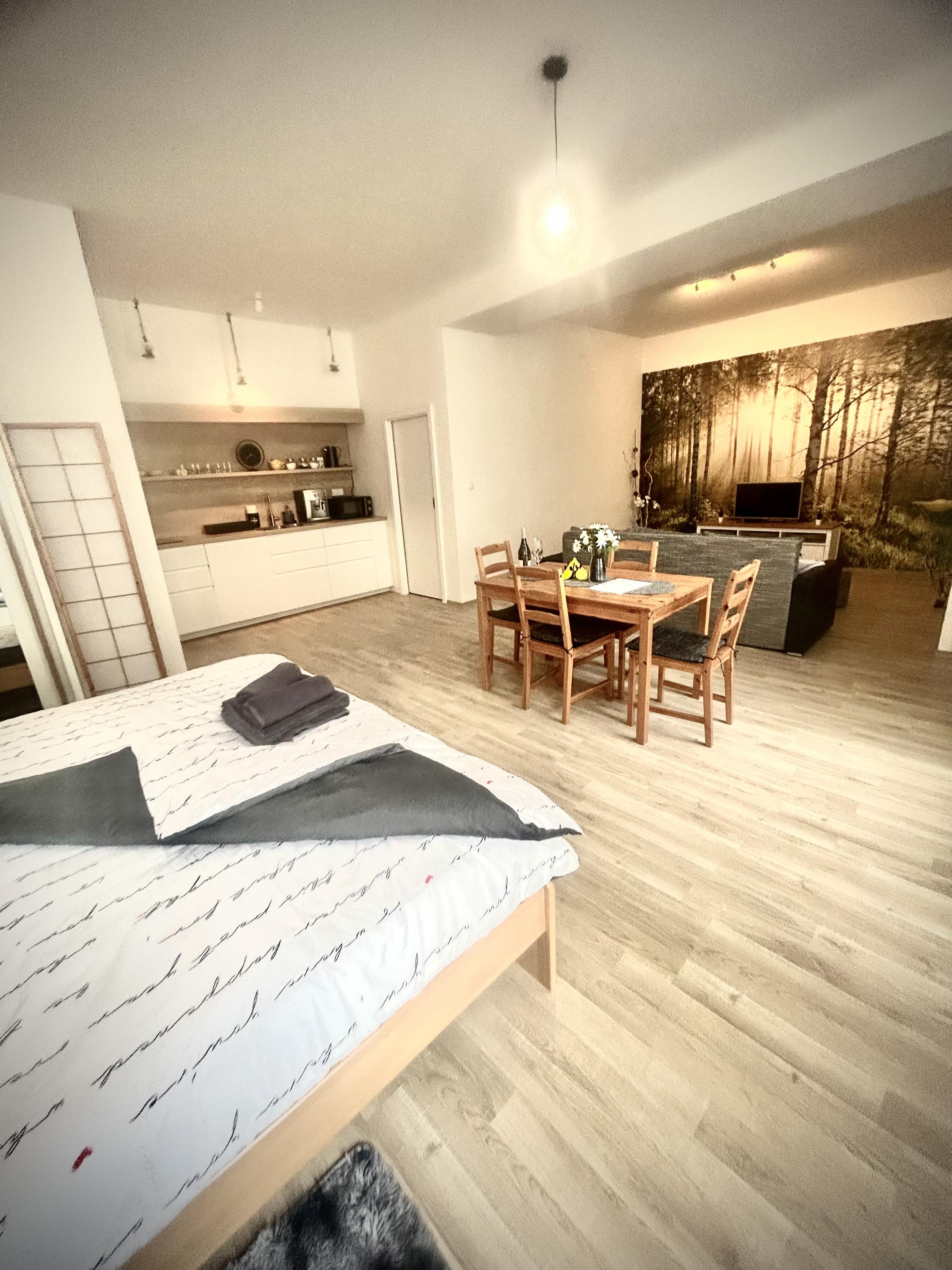 Ubytování v srdci Písku foto 6