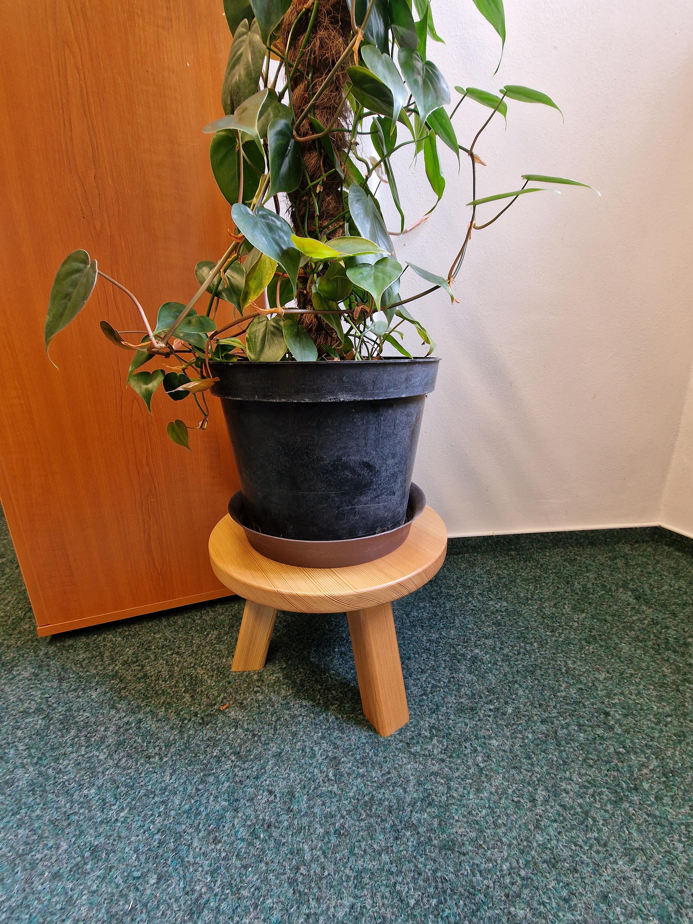 Neo Design Woodworking foto 2