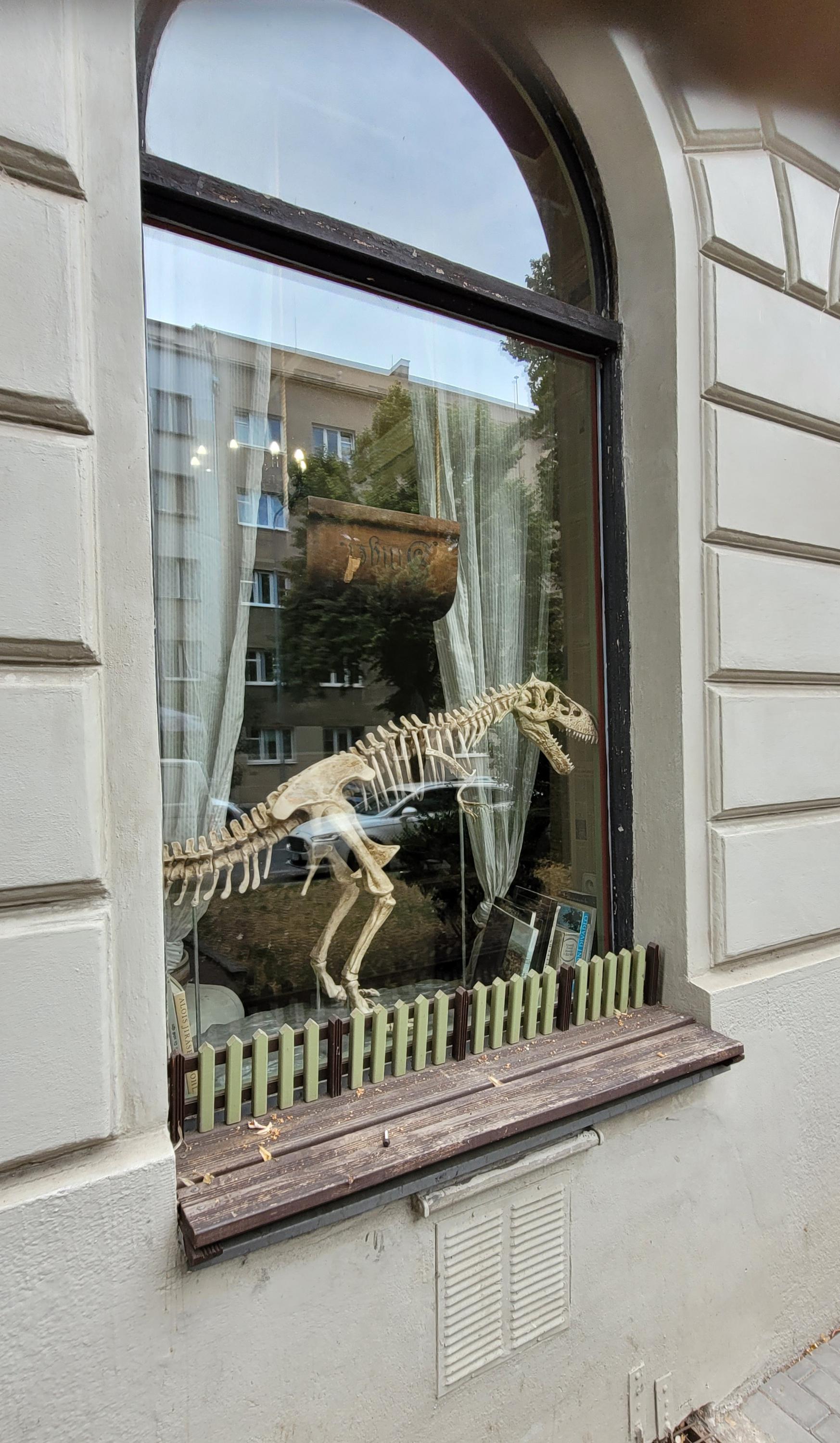 U nás ve Vršovicích foto 4