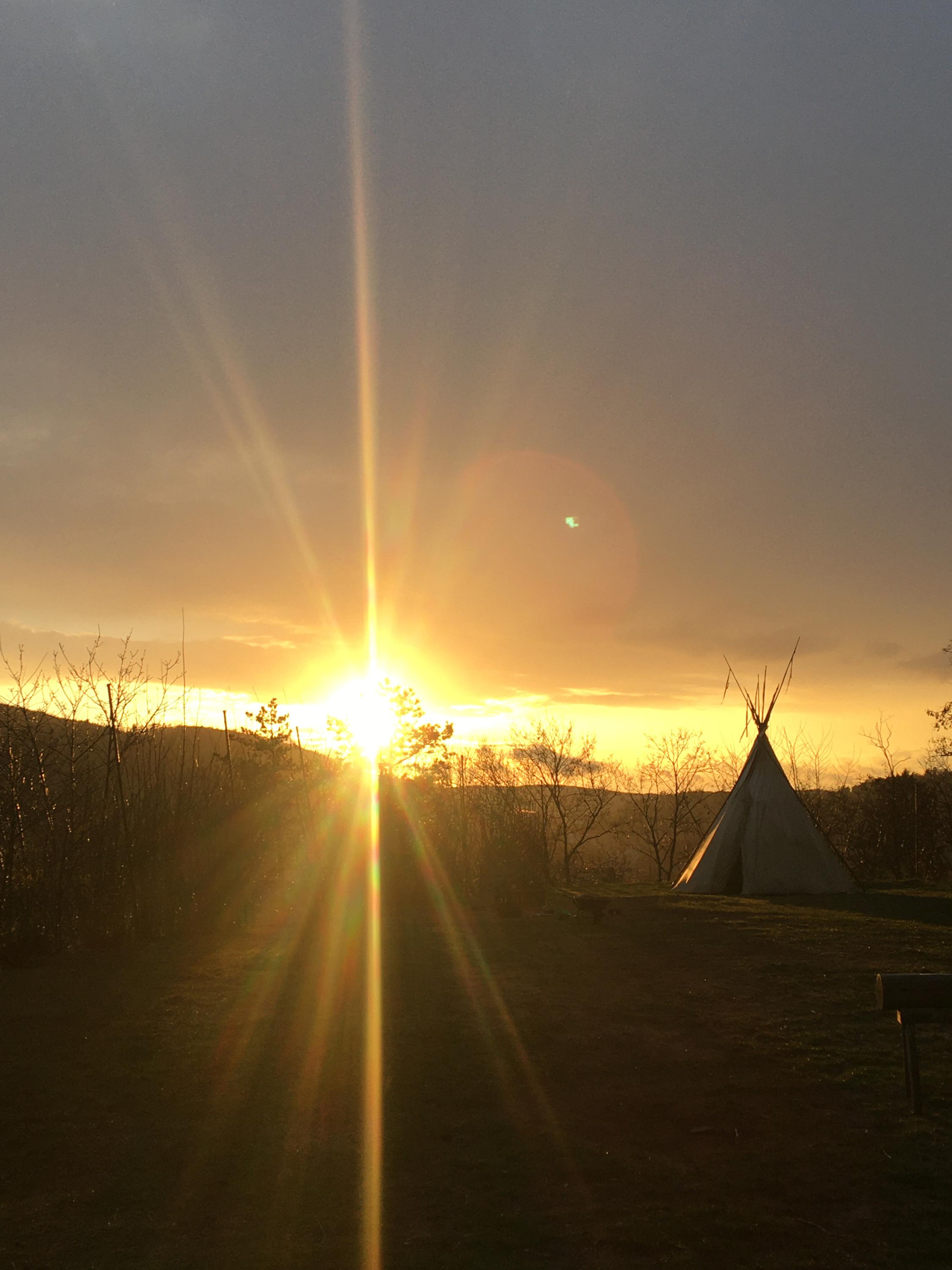 Lištička - lesní mateřská škola foto 2