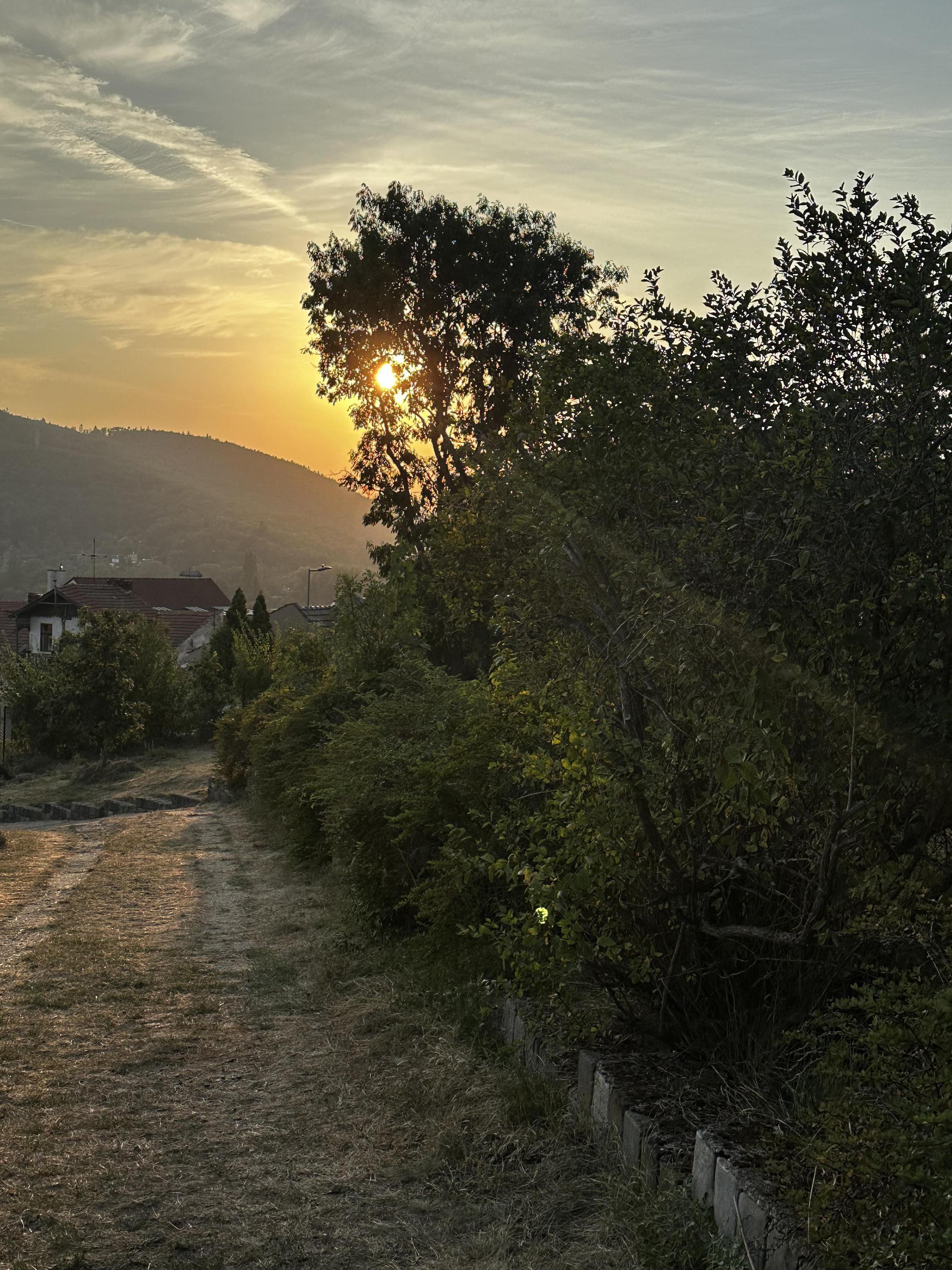 Lištička - lesní mateřská škola foto 3