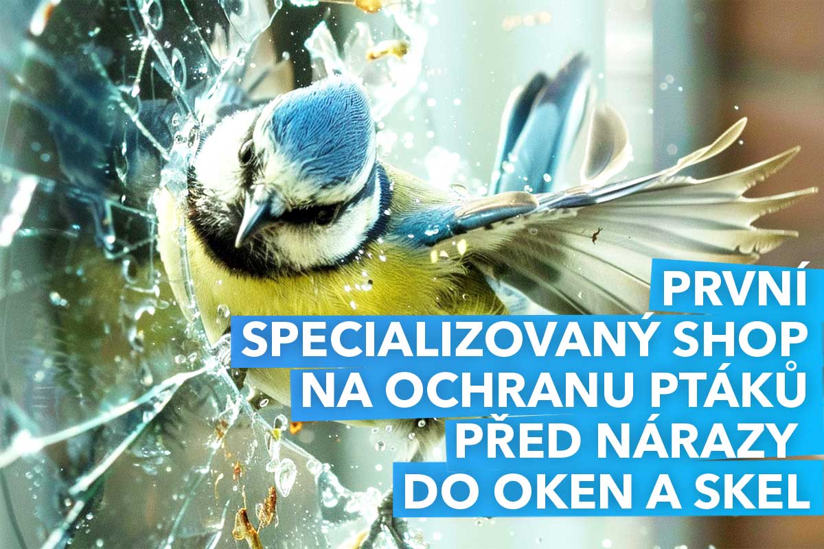 Zvirecisousede.cz foto 1