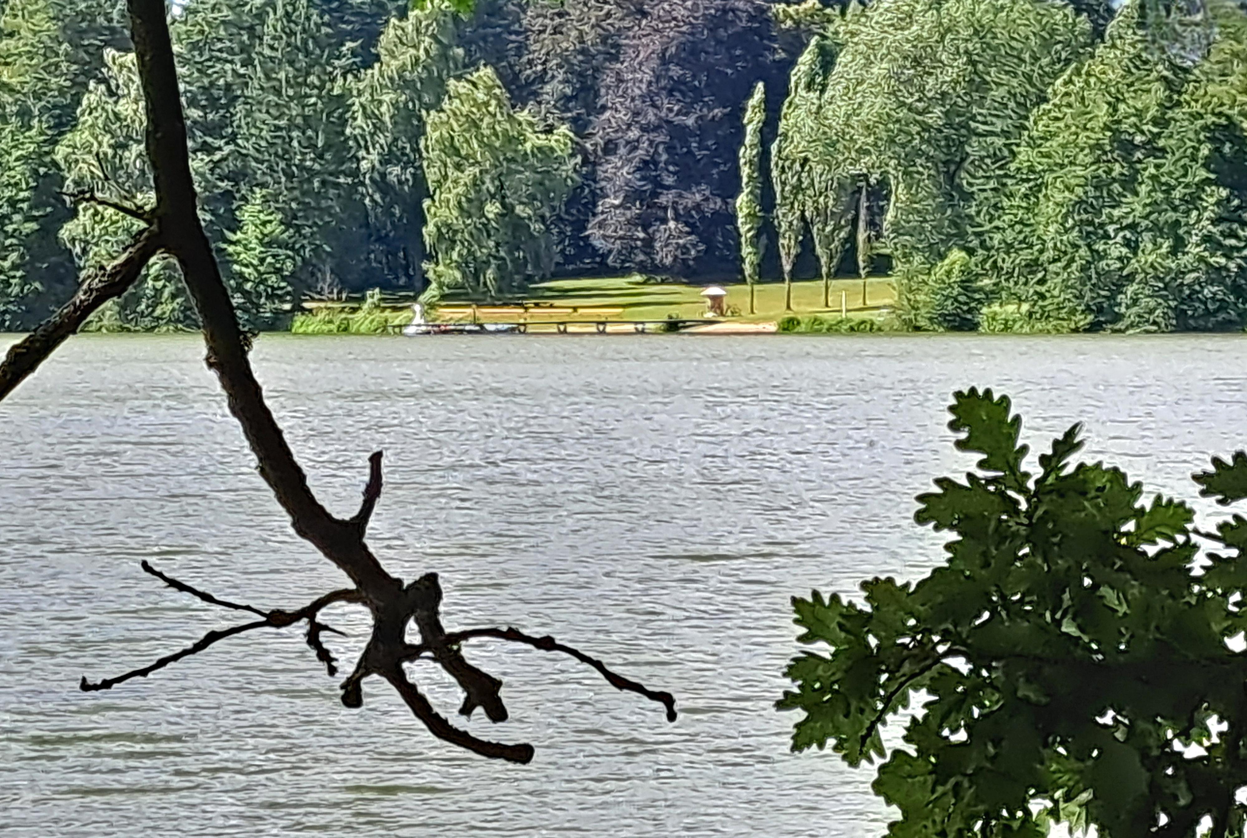 Koupaliště Vyžlovka foto 4