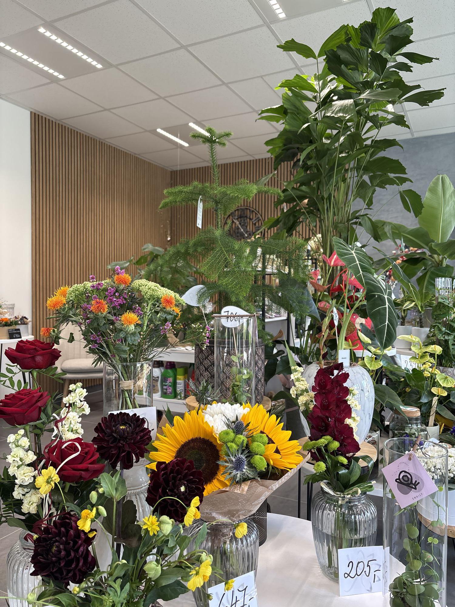 Květina Darem foto 3