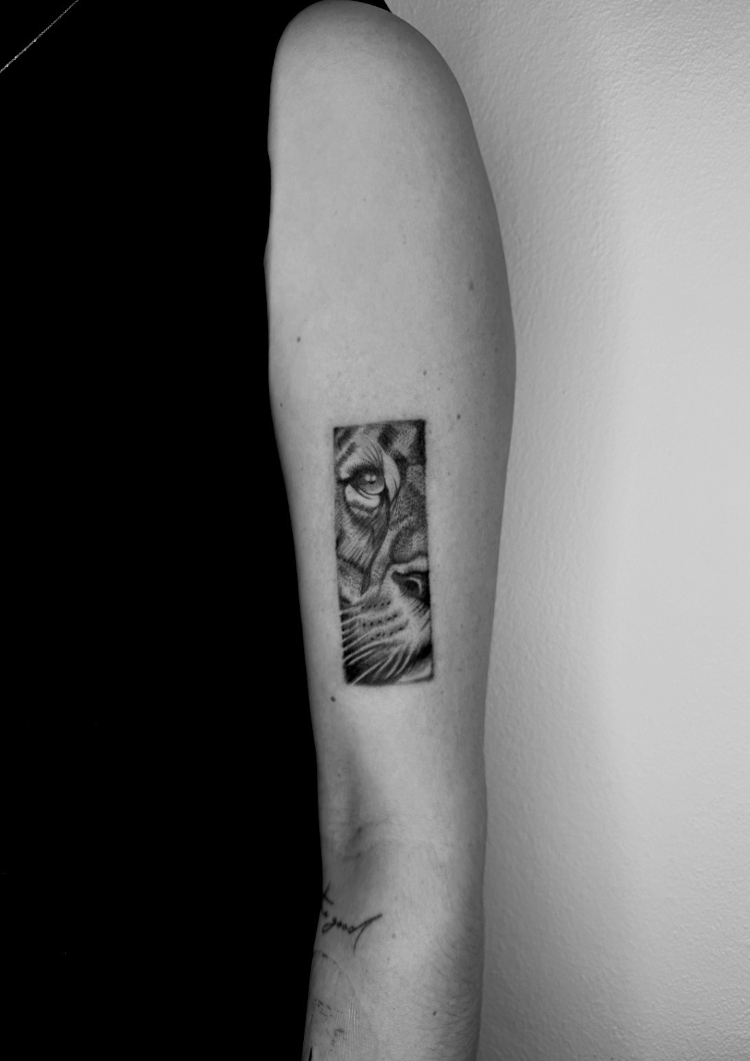 DENEK TATTOO foto 3